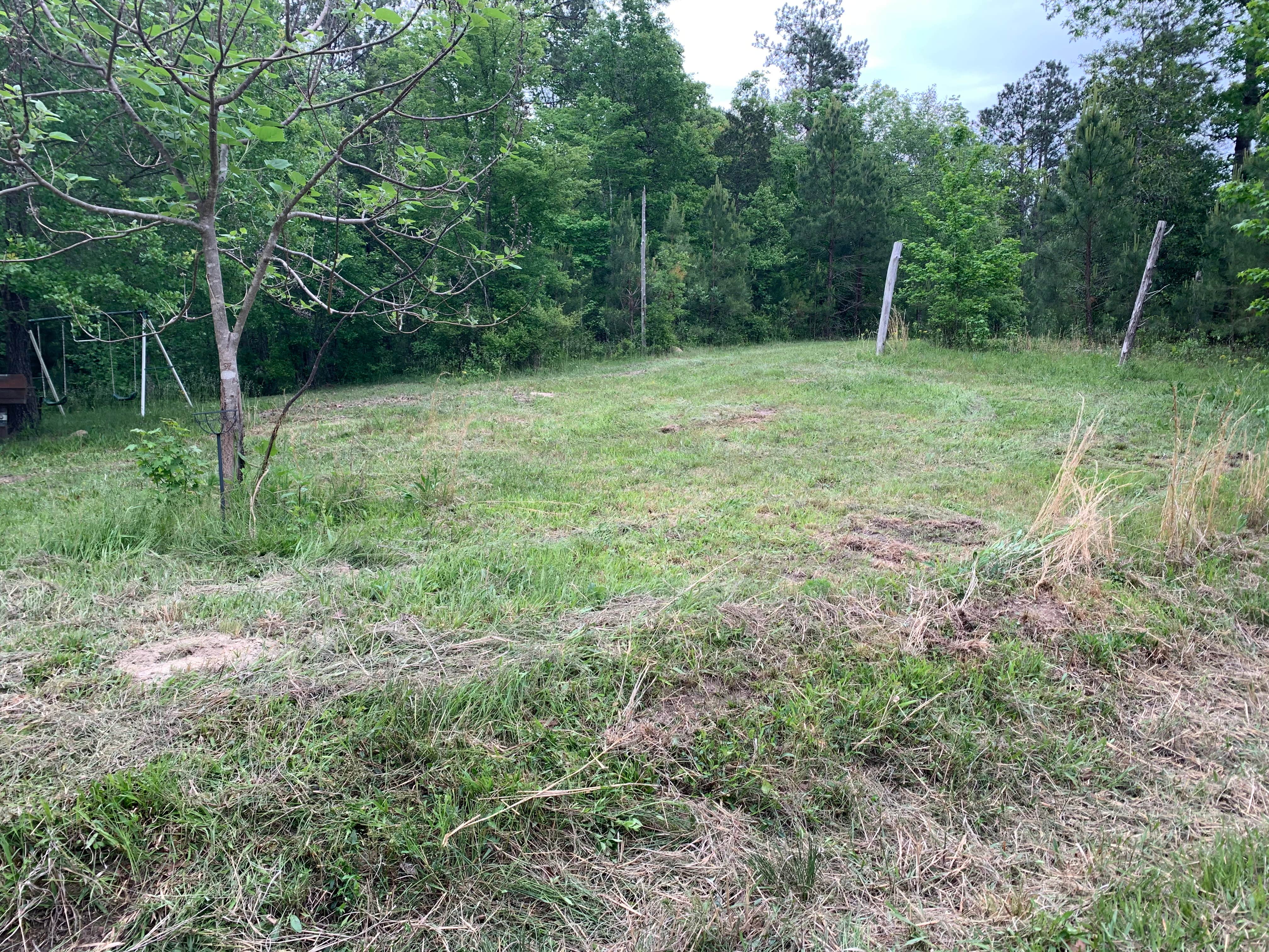 Camper-submitted photo at Kaleidoscope Farm near West Columbia, SC