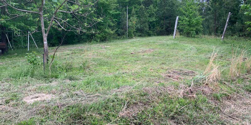 Camper submitted image from Kaleidoscope Farm