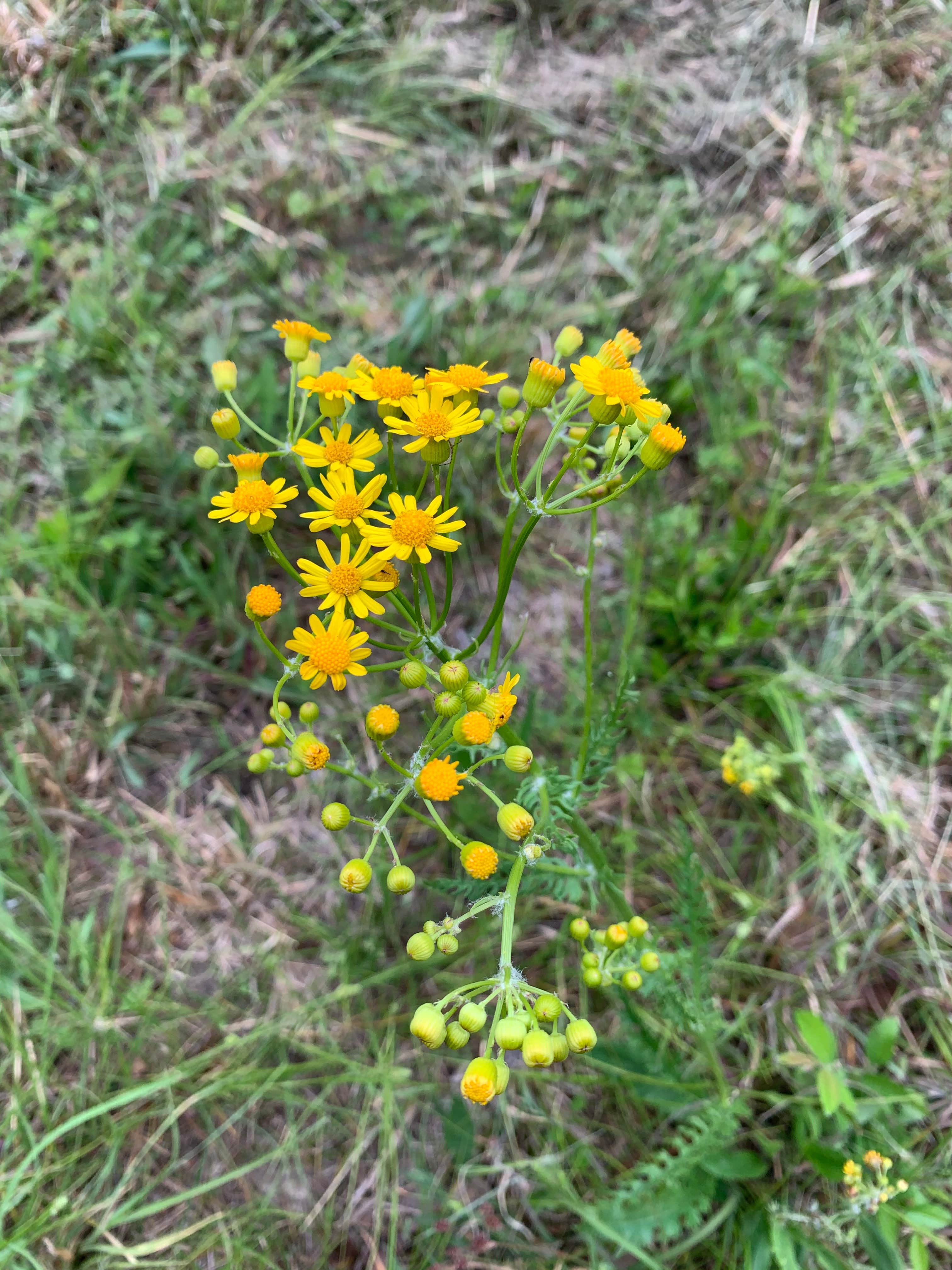Camper-submitted photo at Kaleidoscope Farm near West Columbia, SC