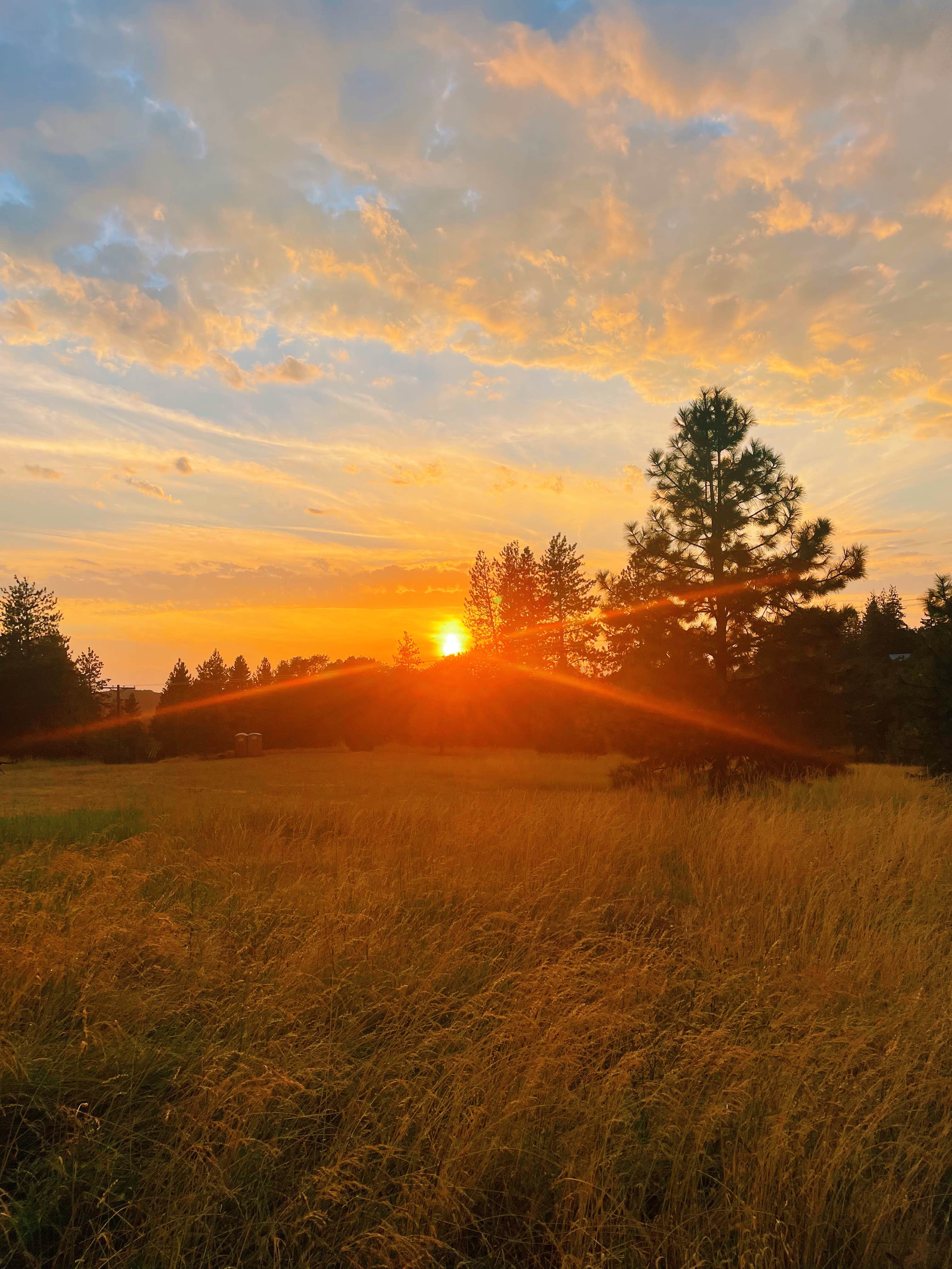 Roots Rise Family Farm