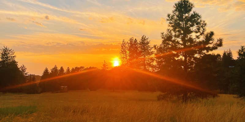 Camper submitted image from Roots Rise Family Farm