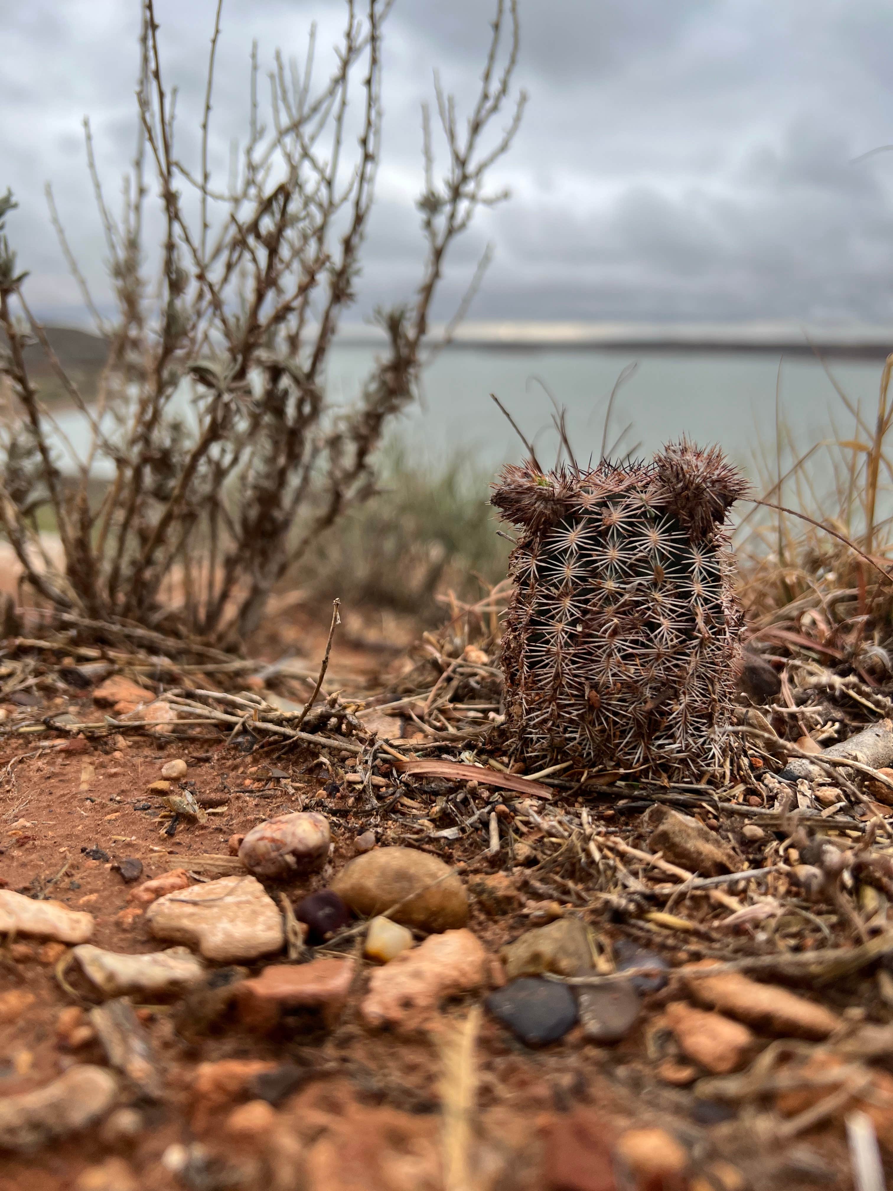 Camper-submitted photo at Sanford Yake Campground near Pampa, TX