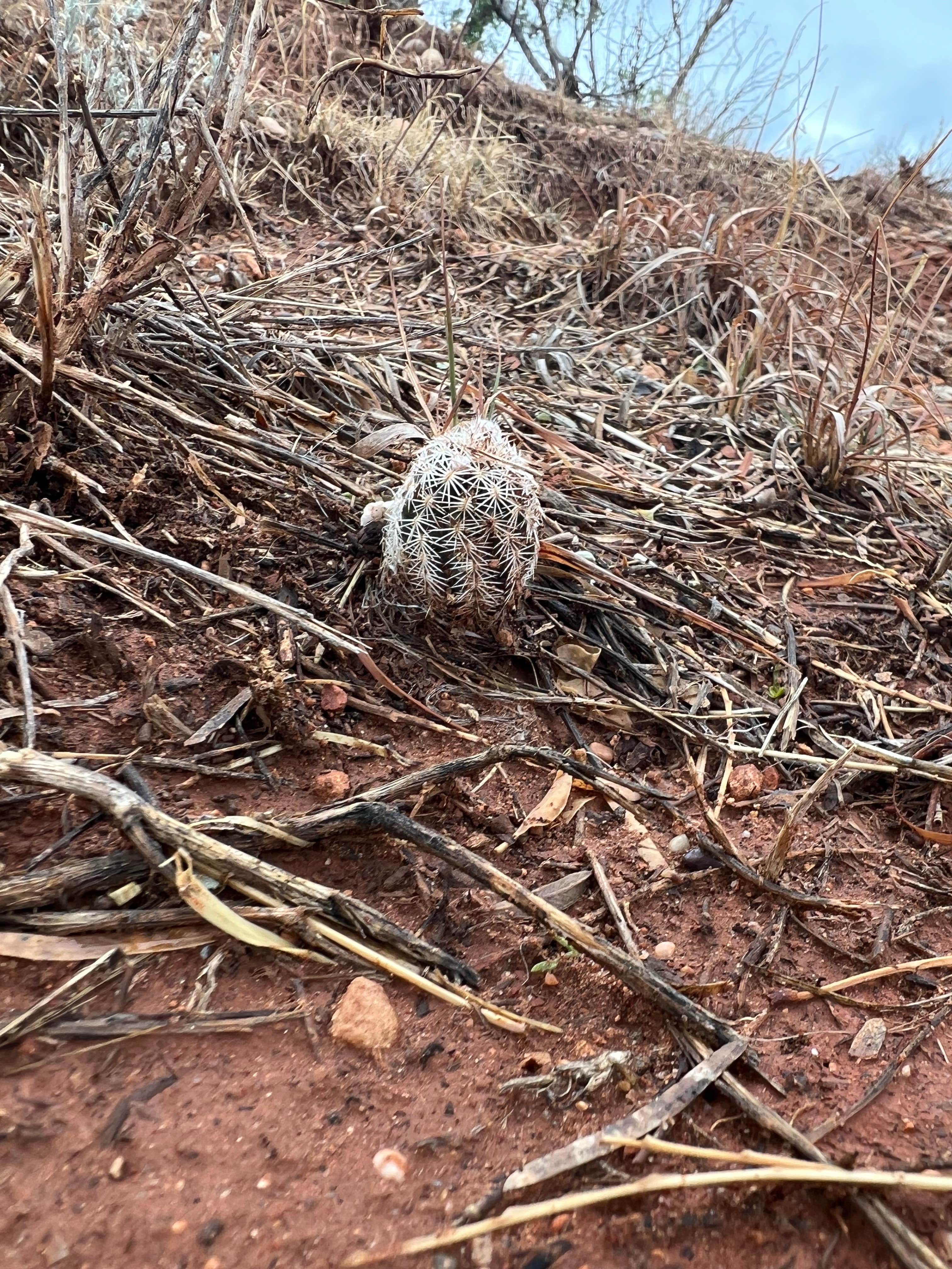 Camper-submitted photo at Sanford Yake Campground near Pampa, TX