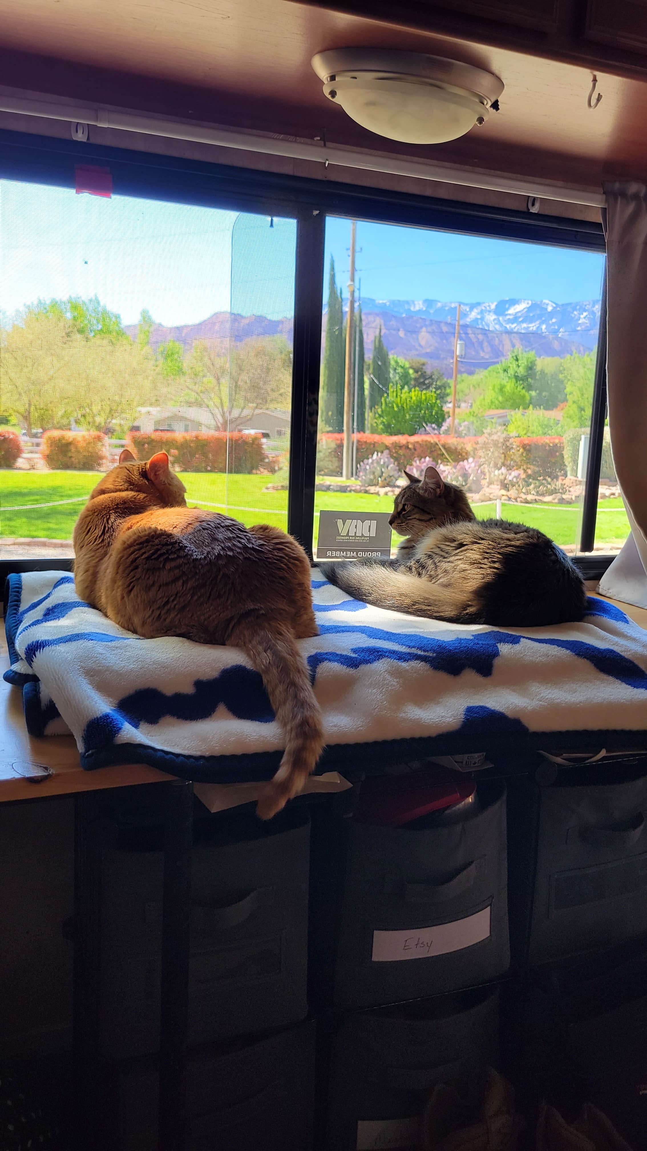 Camper-submitted photo at Leeds RV Park & Motel near Ivins, UT