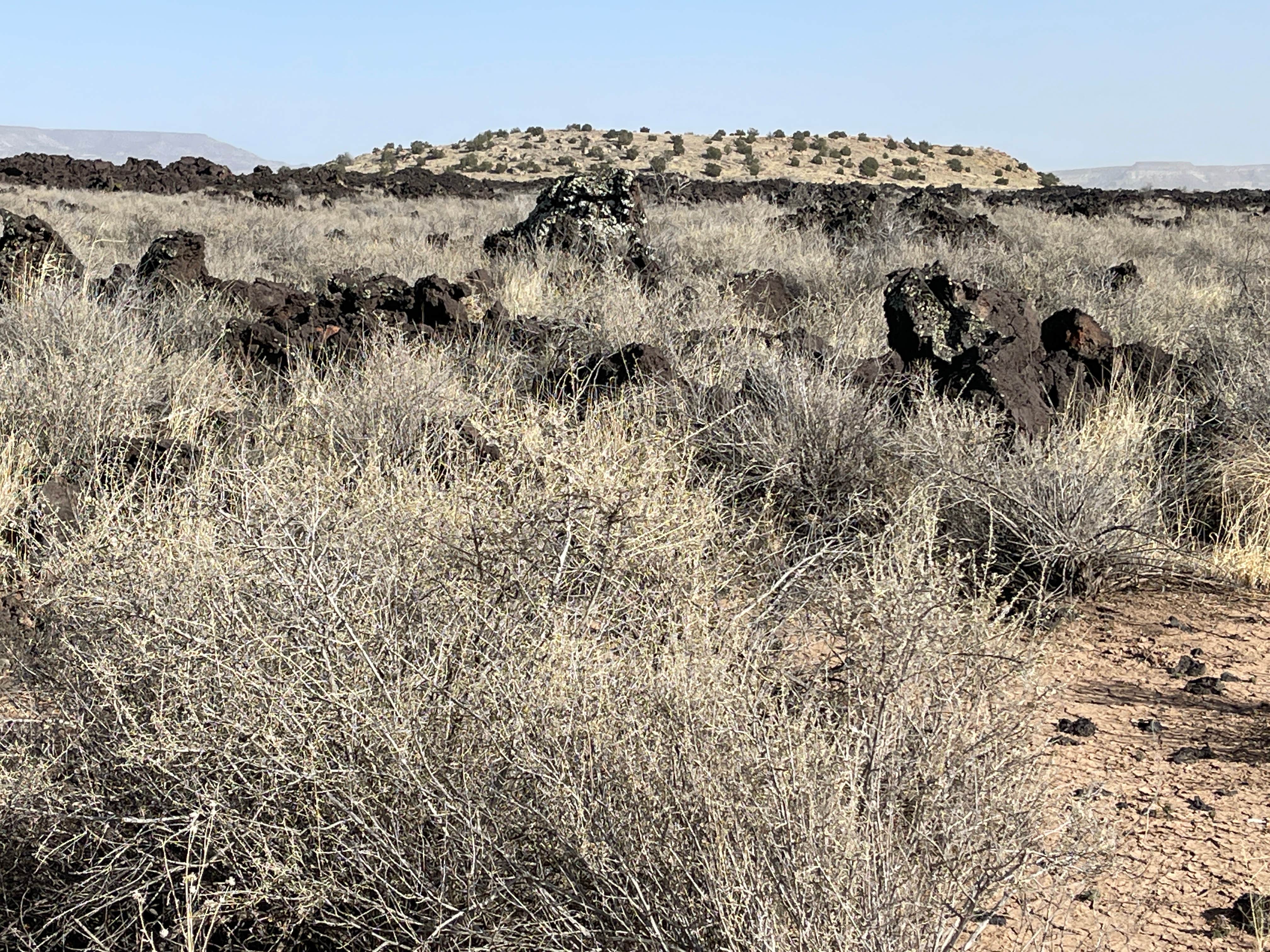 Camper-submitted photo at Grants KOA Journey near Prewitt, NM