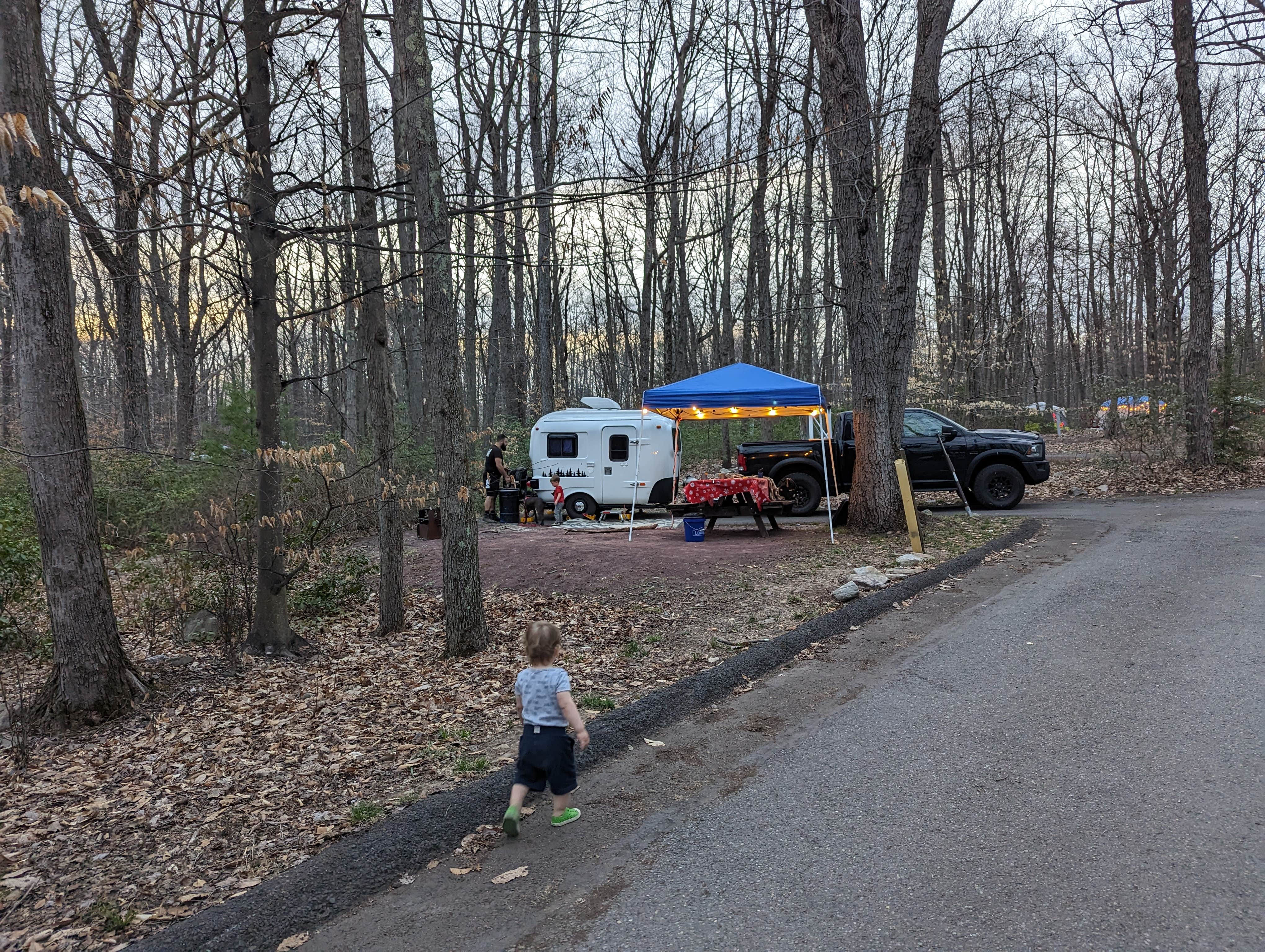 are dogs allowed at hickory run state park camping