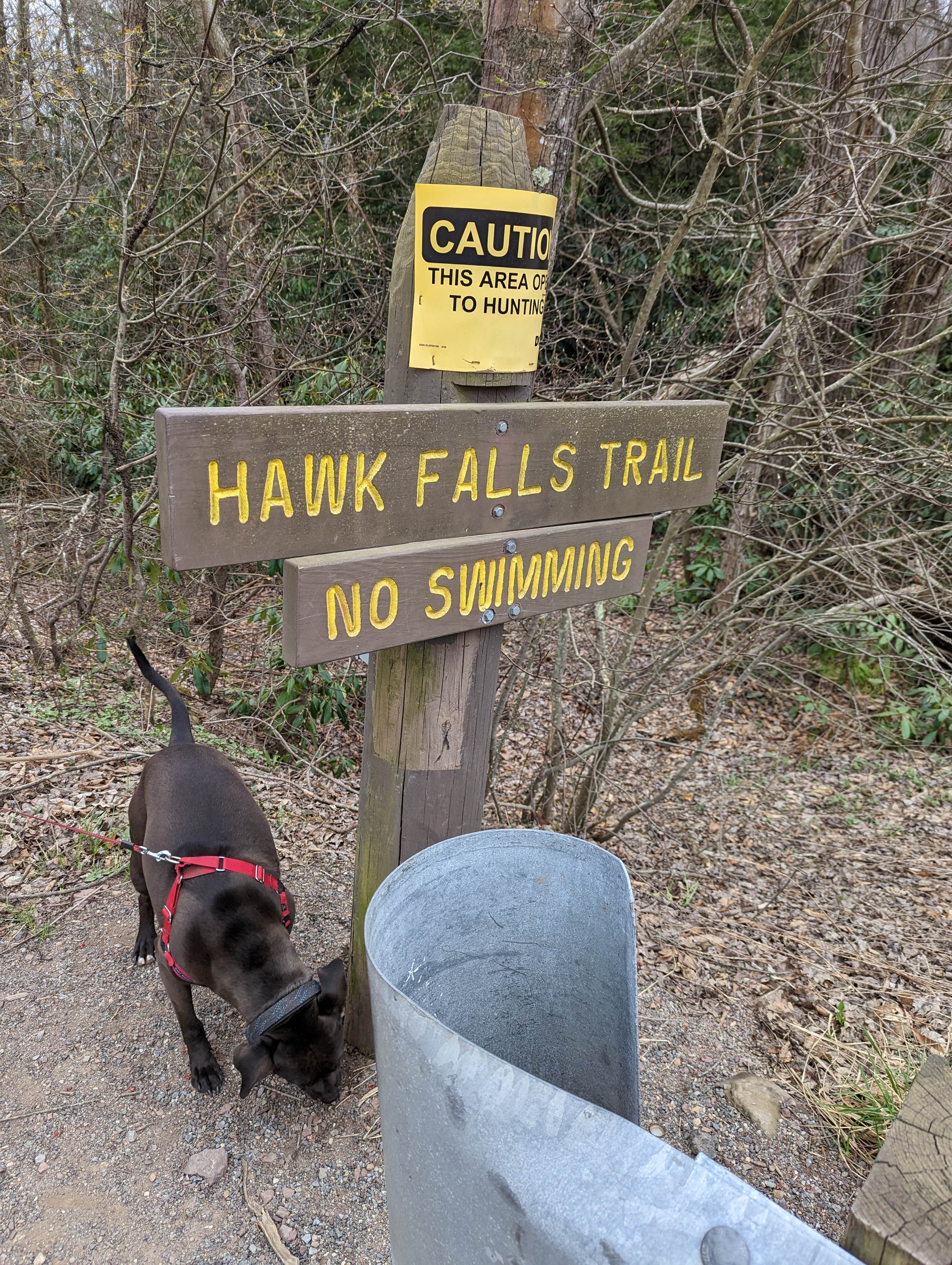 Kara P.'s photo of camping with pets at Hickory Run State Park Campground near Parryville, PA