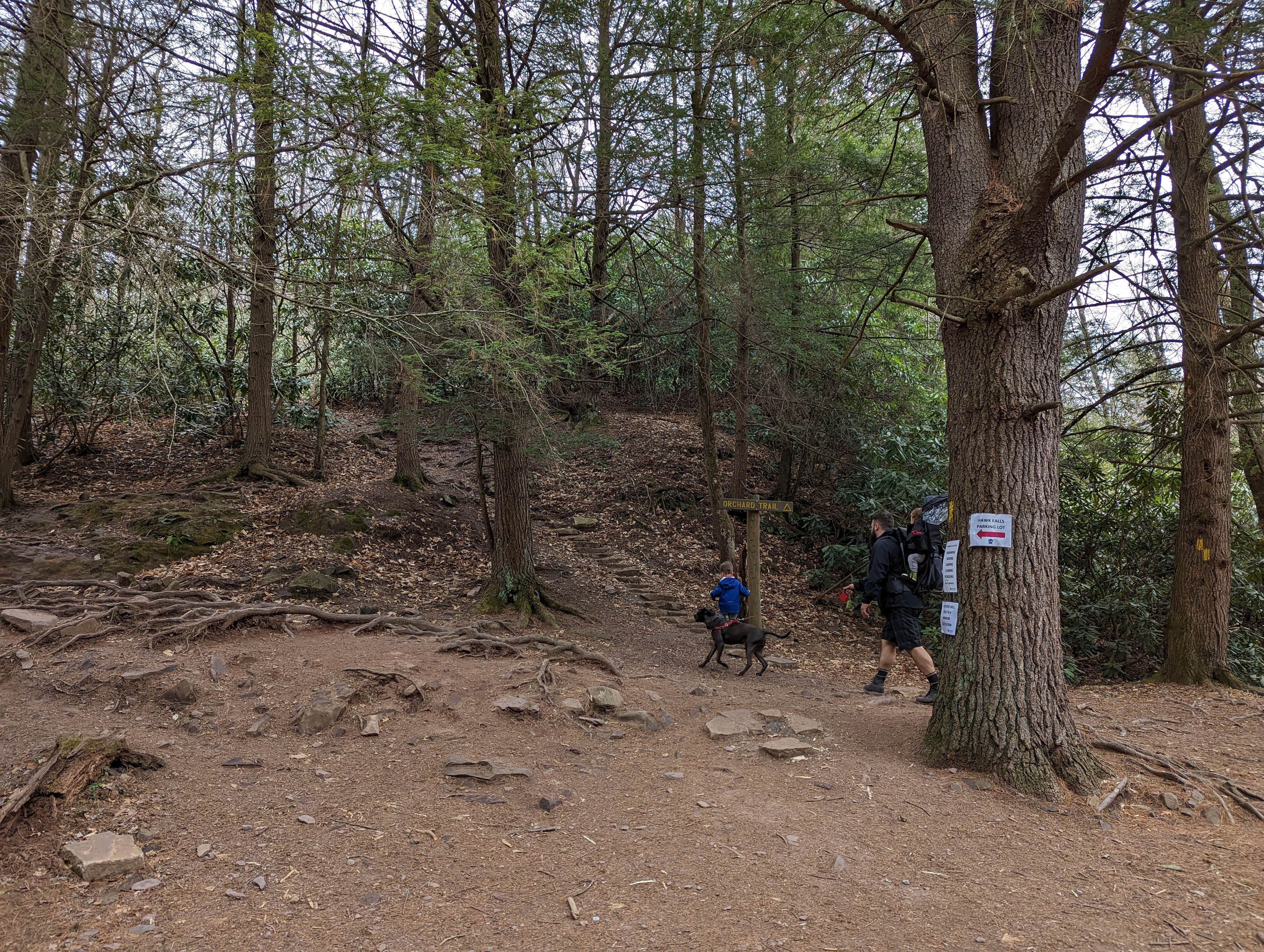 Kara P.'s photo of camping with pets at Hickory Run State Park Campground near Noxen, PA