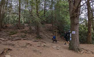 Kara P.'s photo of camping with pets at Hickory Run State Park Campground near Sweet Valley, PA