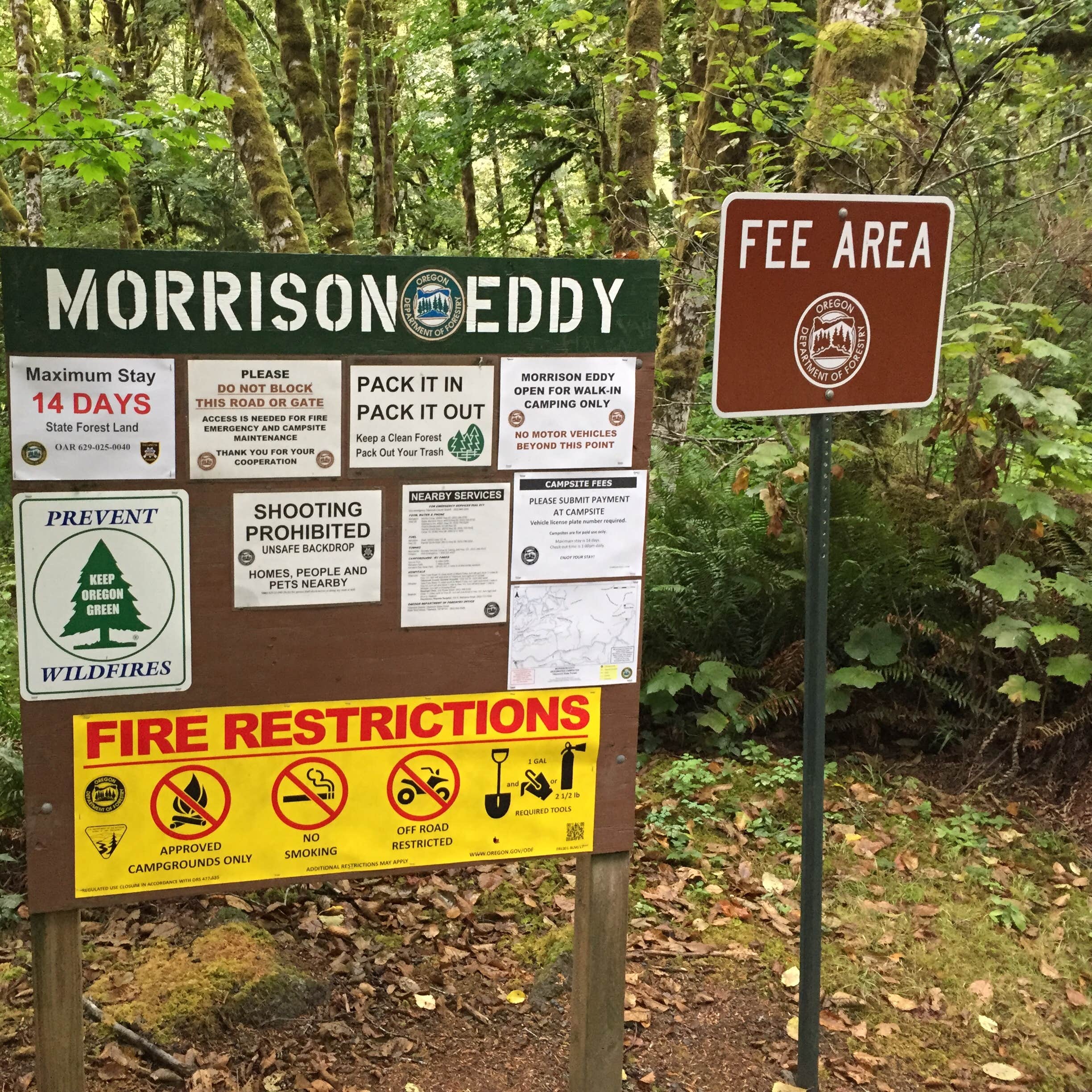 Morrison Eddy Camping | The Dyrt