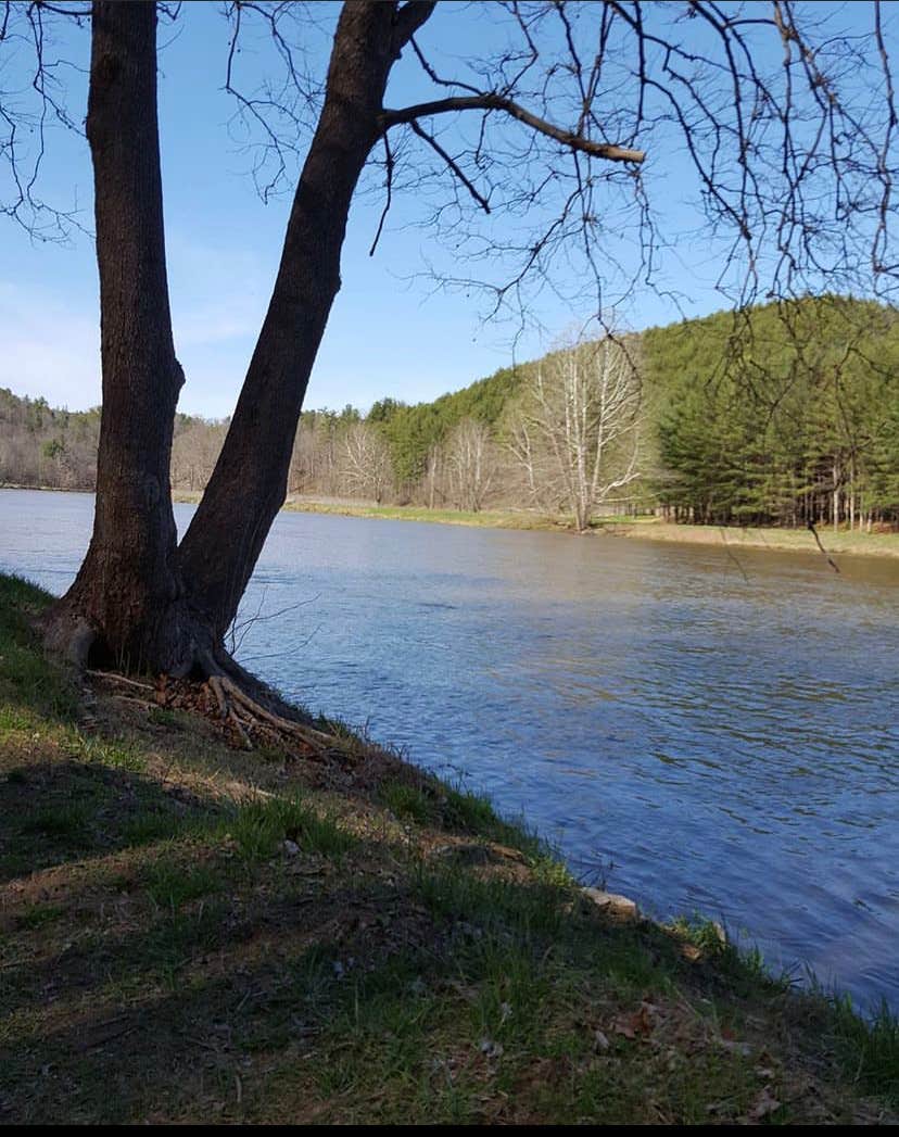 Camper-submitted photo at New River Yacht Club near Elk Creek, VA