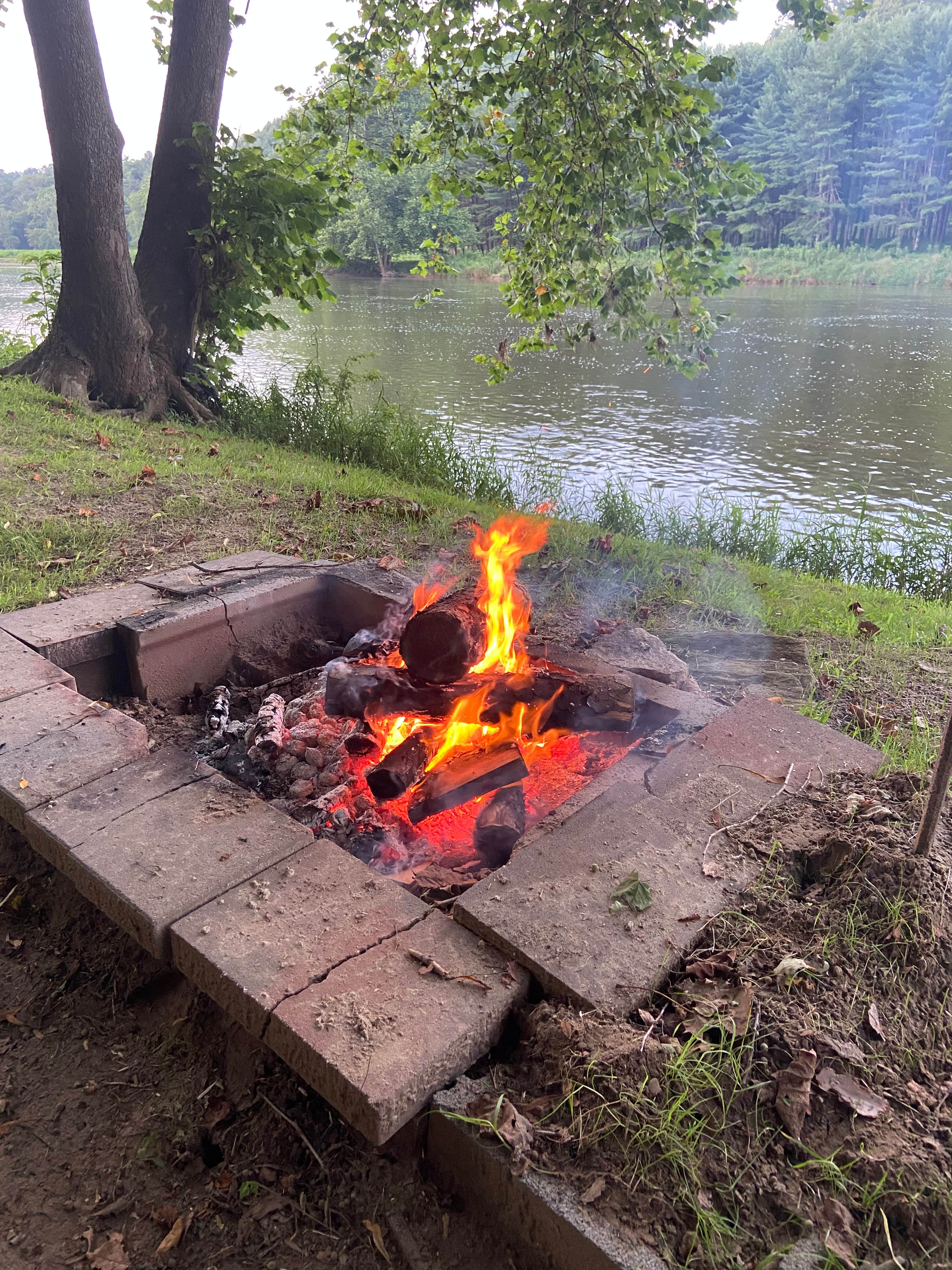 Camper-submitted photo at New River Yacht Club near Elk Creek, VA