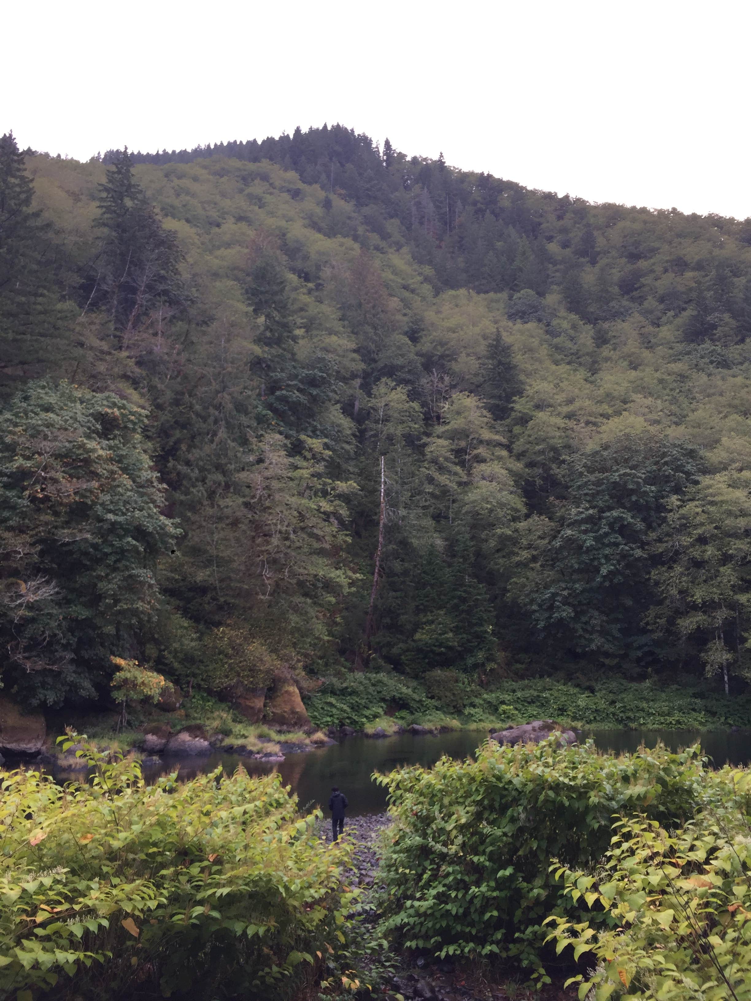 Camper-submitted photo at Morrison Eddy near Ilwaco, WA