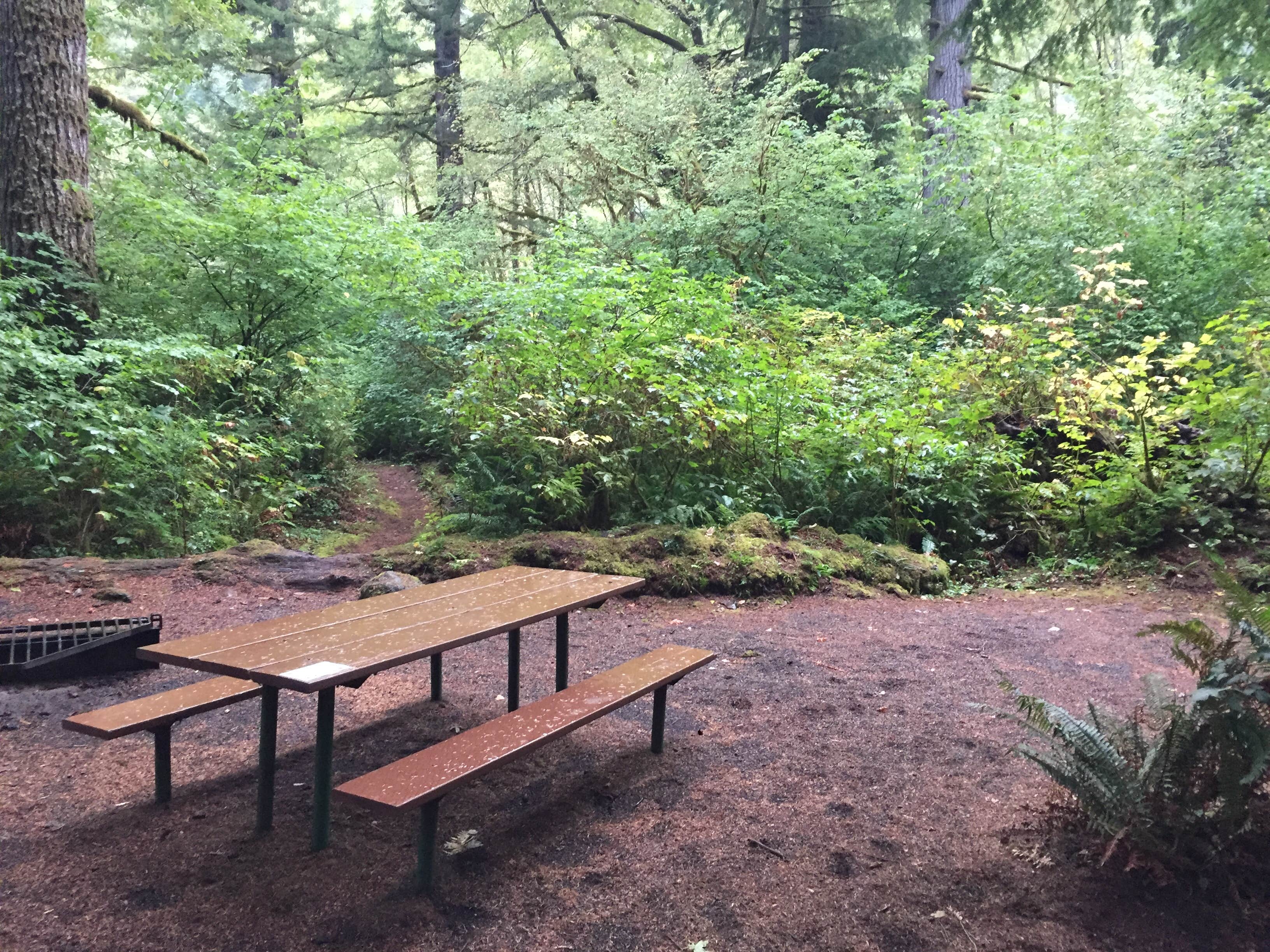 Camper-submitted photo at Morrison Eddy near Ilwaco, WA