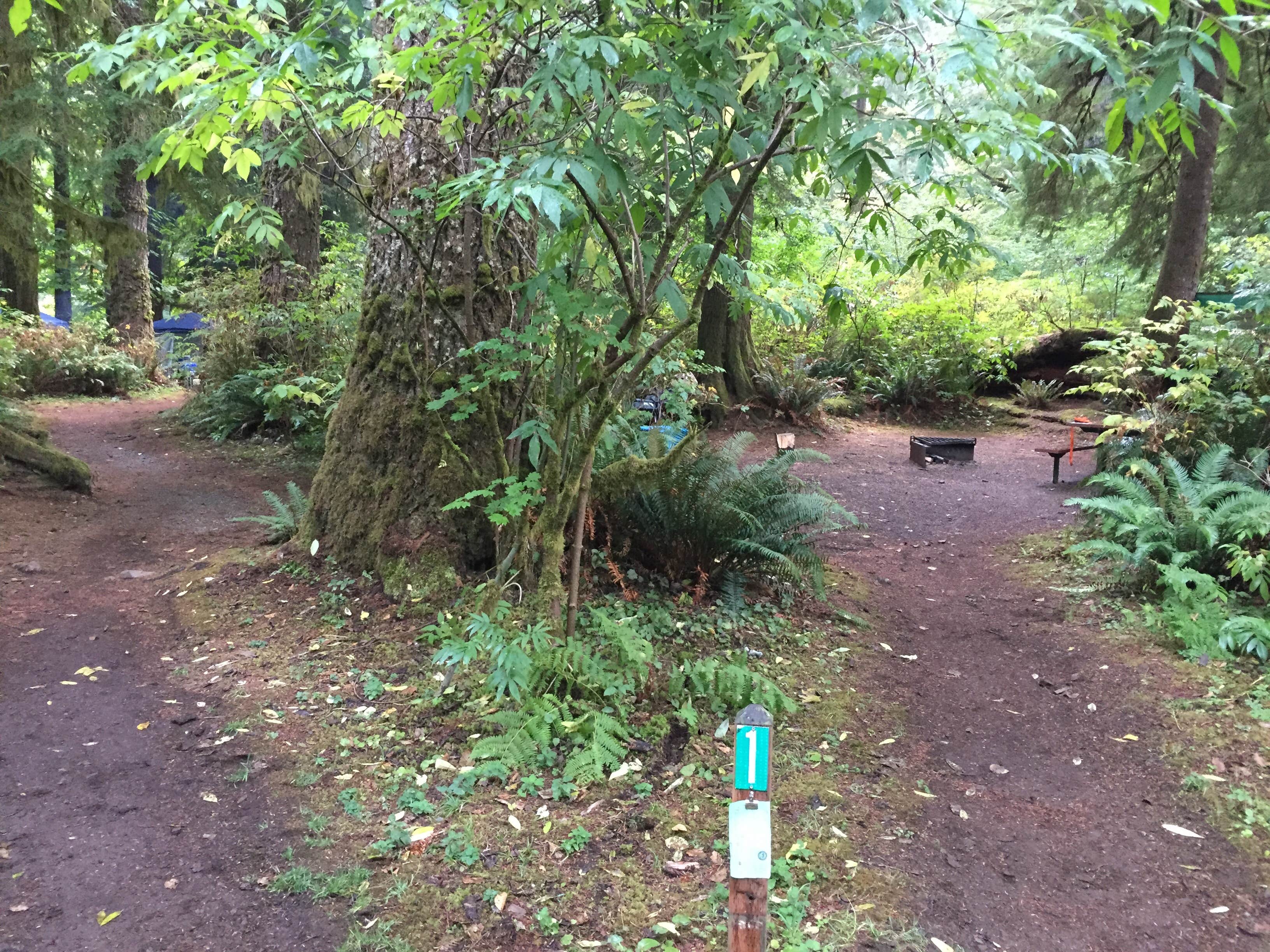 Camper-submitted photo at Morrison Eddy near Ilwaco, WA