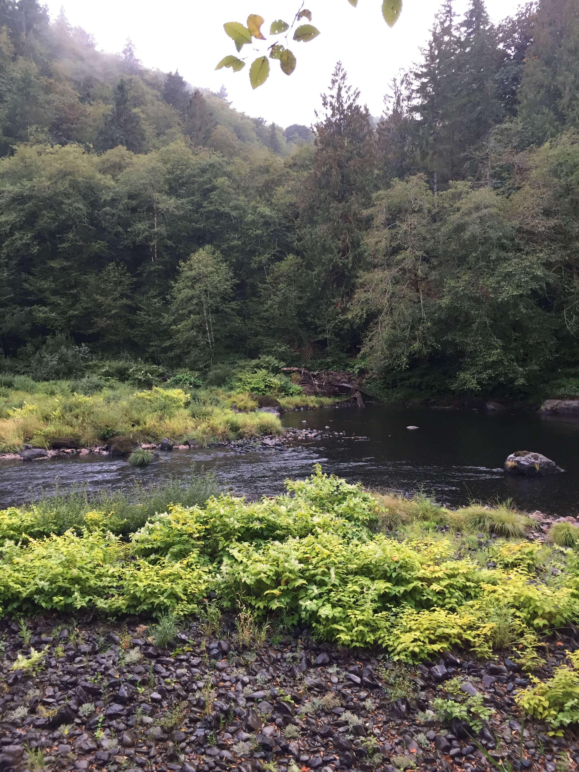 Camper-submitted photo at Morrison Eddy near Ilwaco, WA