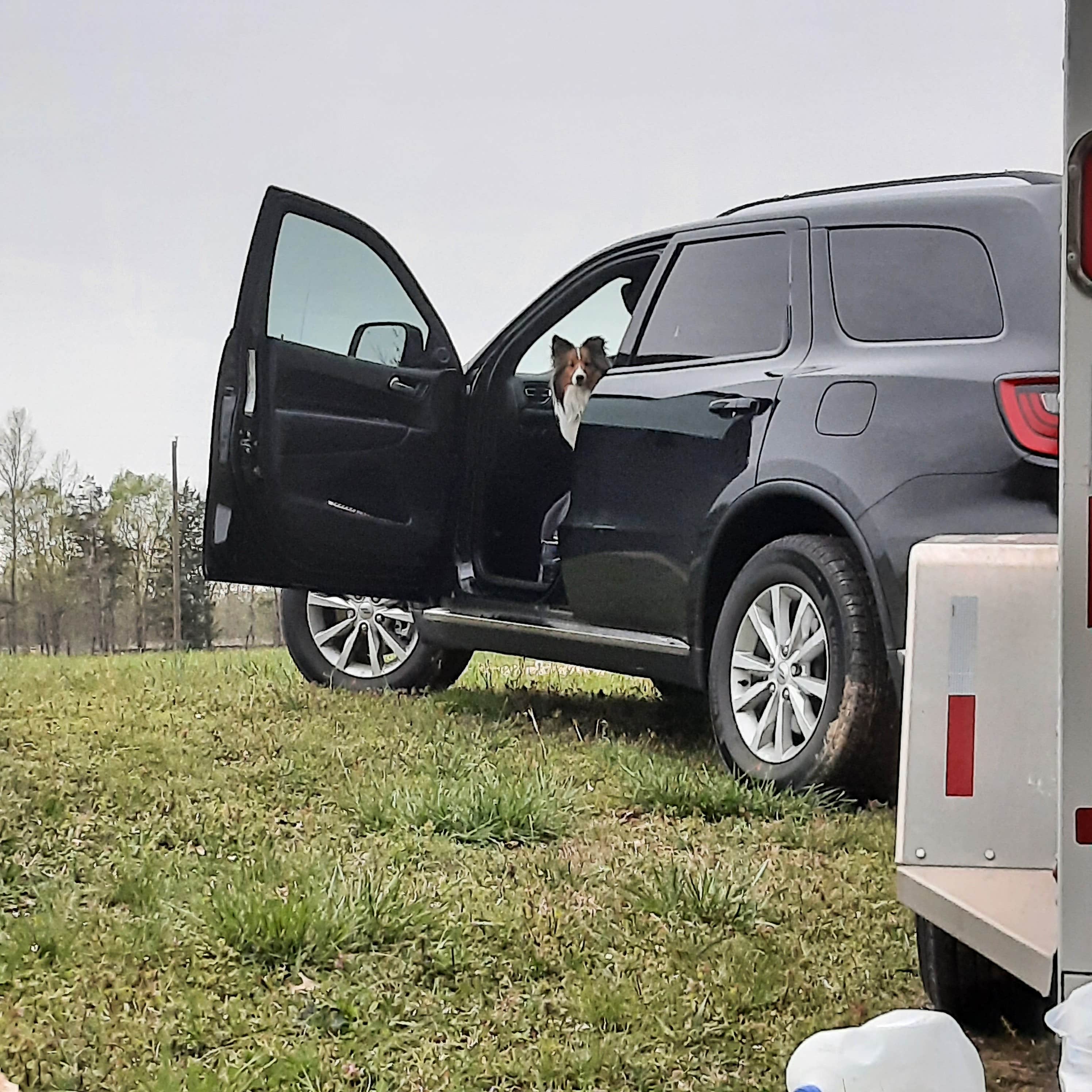 Camper-submitted photo at Poppy Mountain Campground near Olive Hill, KY