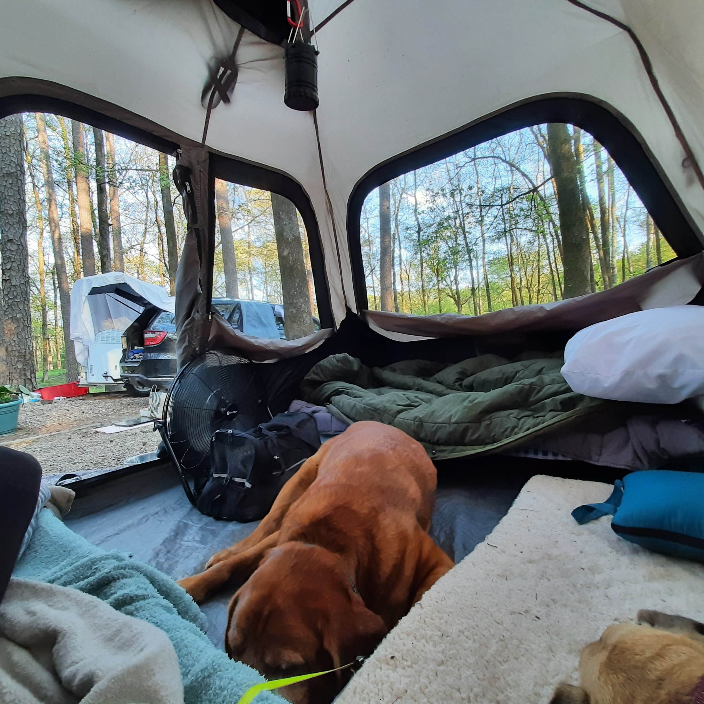Cyndy & Selena R.'s photo at Shores Lake near Chester, AR