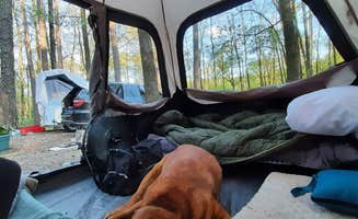 Cyndy & Selena R.'s photo at Shores Lake near St. Paul, AR