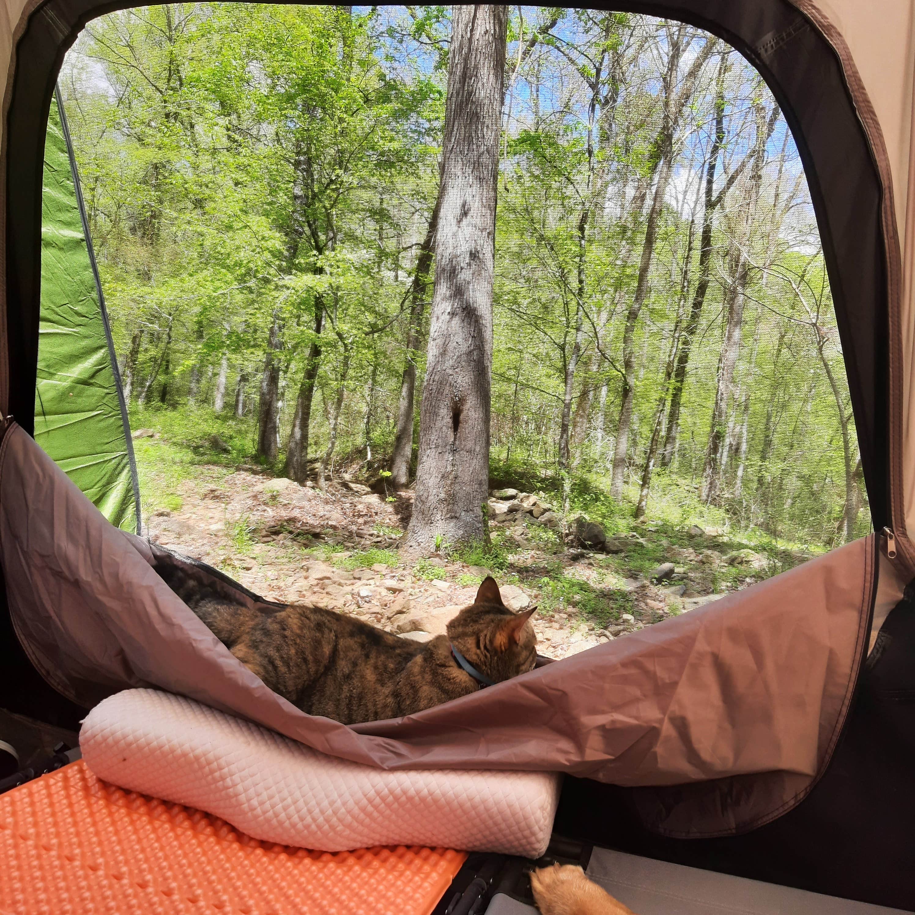 Cyndy & Selena R.'s photo at Shores Lake near Greenwood, AR