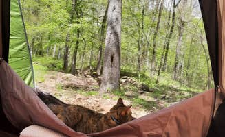 Cyndy & Selena R.'s photo at Shores Lake near Greenwood, AR