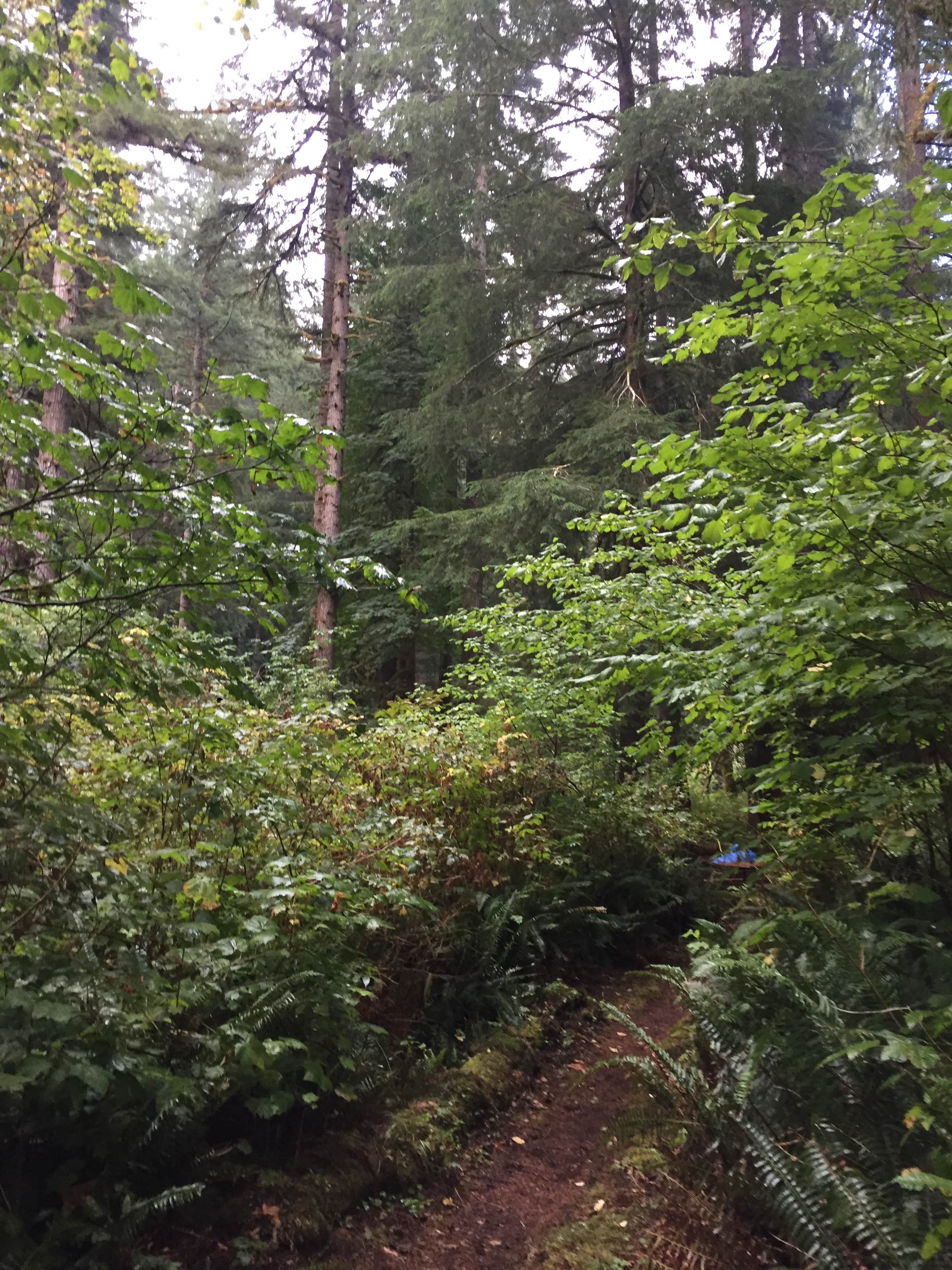 Camper-submitted photo at Morrison Eddy near Ilwaco, WA