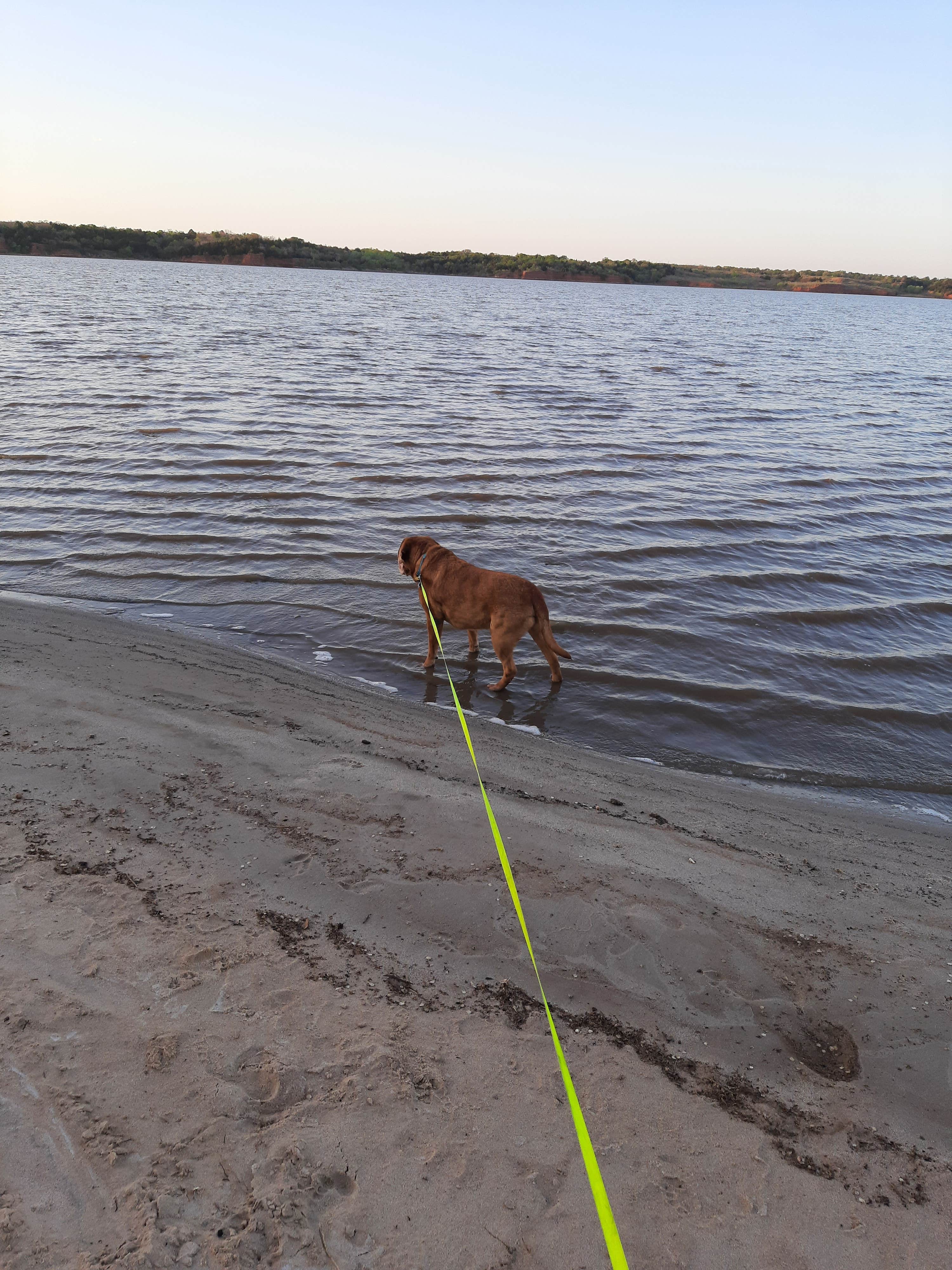 Cyndy & Selena R.'s photo of camping with pets at Salt Plains State Park Campground near Medicine Lodge, KS