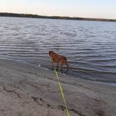 Review photo of Salt Plains State Park Campground by Cyndy & Selena R., April 27, 2023