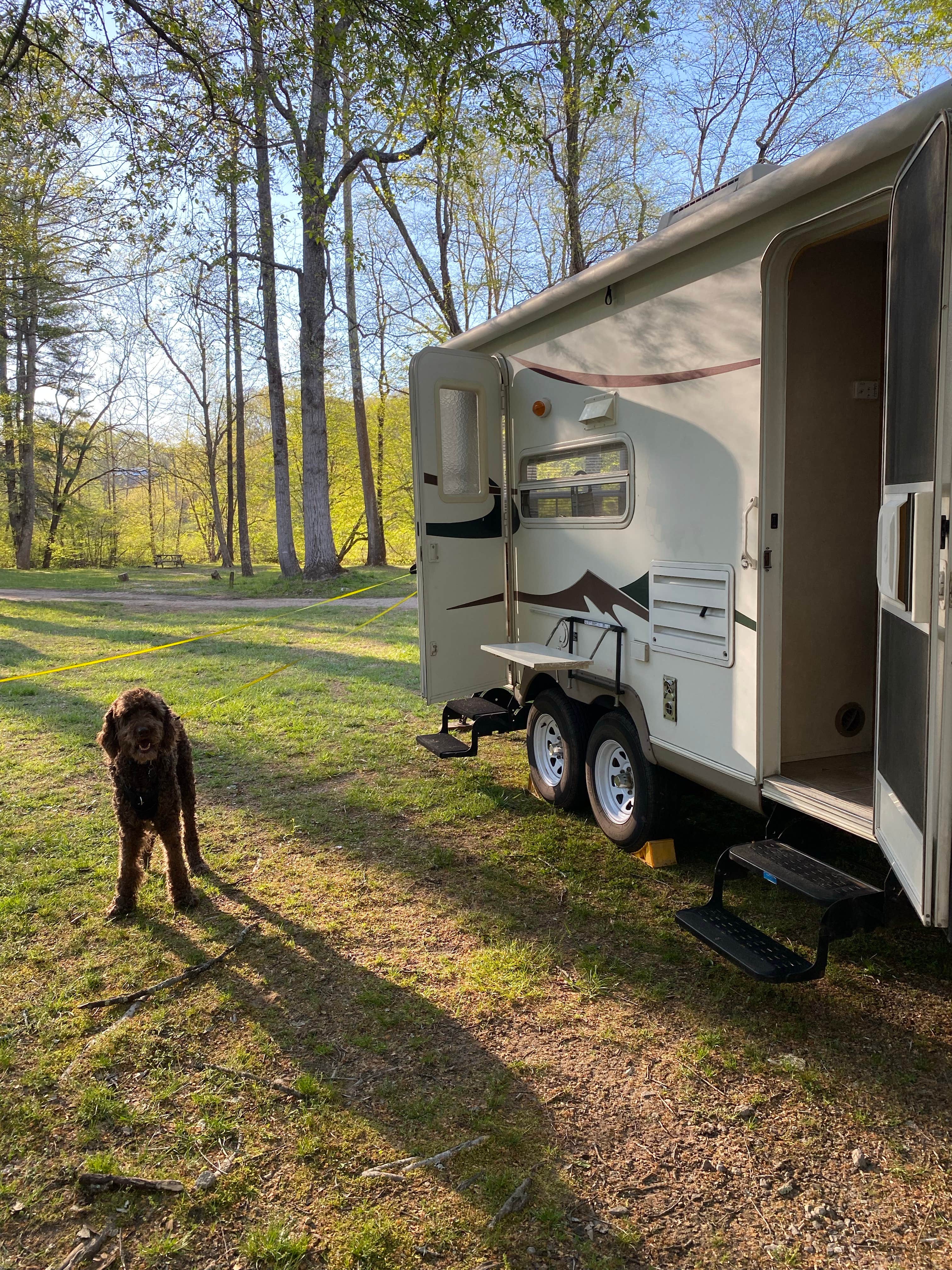 Erin W.'s photo of camping with pets at Moravian Falls Family Campground near Blue Ridge Parkway