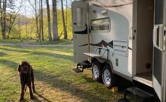 Erin W.'s photo of camping with pets at Moravian Falls Family Campground near Granite Falls, NC
