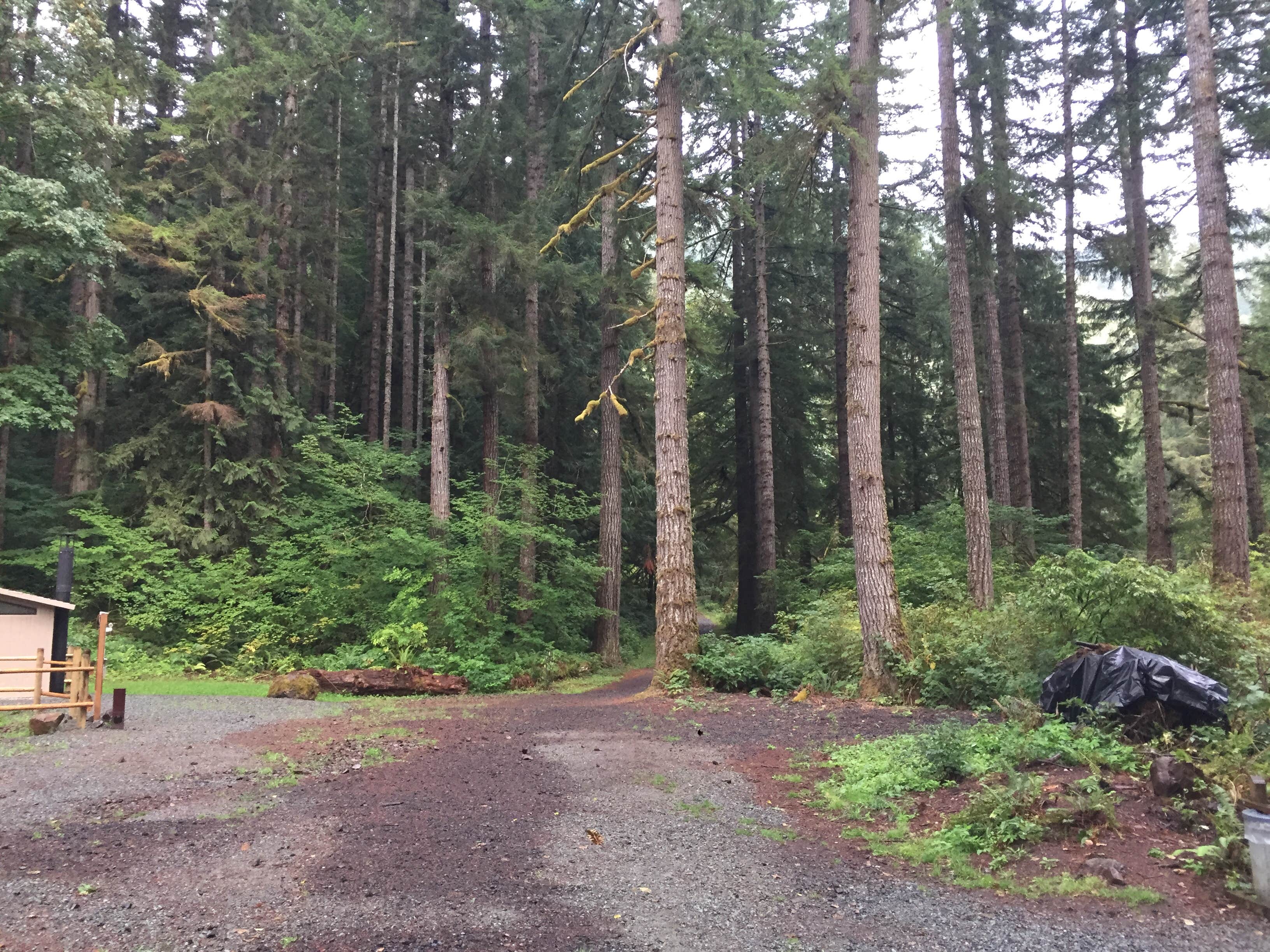 Camping near Tillamook Forest Dispersed on the Nehalem River: Morrison Eddy, Tillamook State Forest, Oregon