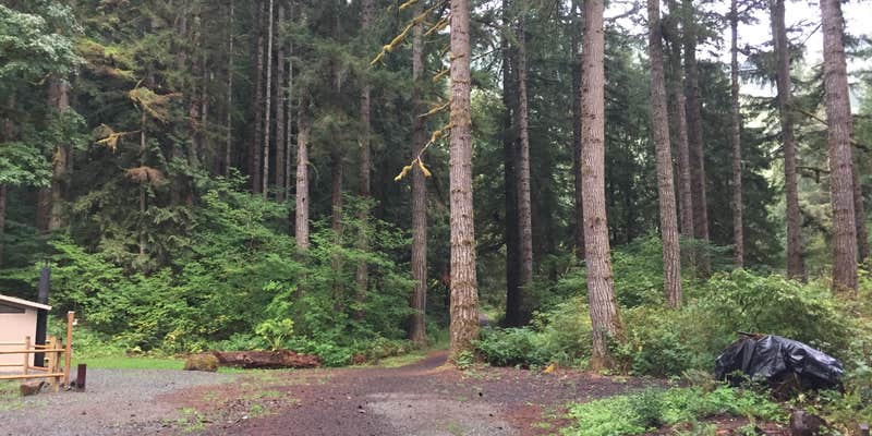 Camper submitted image from Morrison Eddy