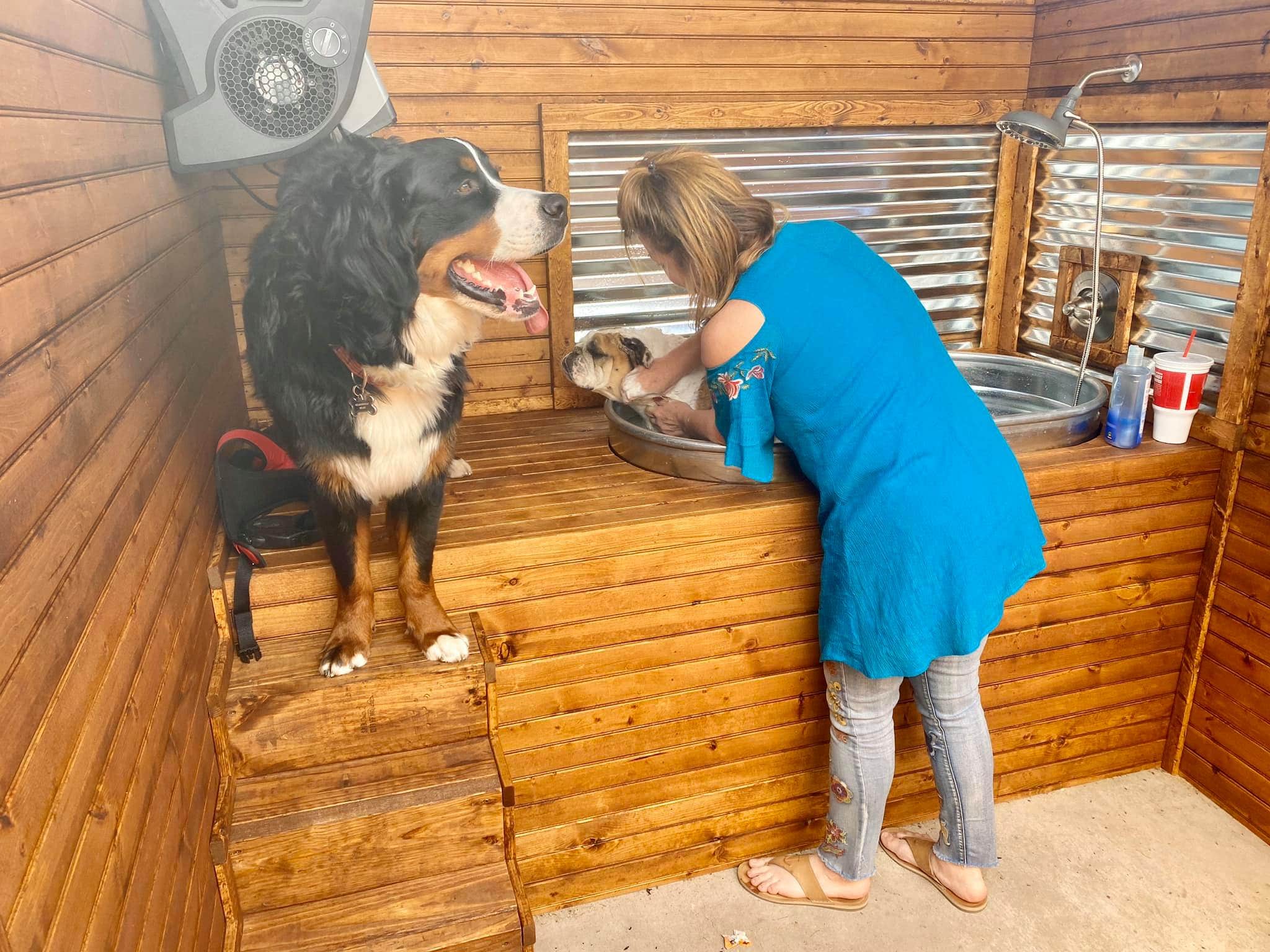 Michele C.'s photo of camping with pets at Lakeland RV Ranch, llc near Little Elm, TX