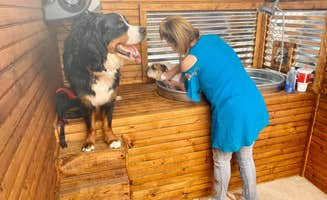 Michele C.'s photo of camping with pets at Lakeland RV Ranch, llc near Wilmer, TX