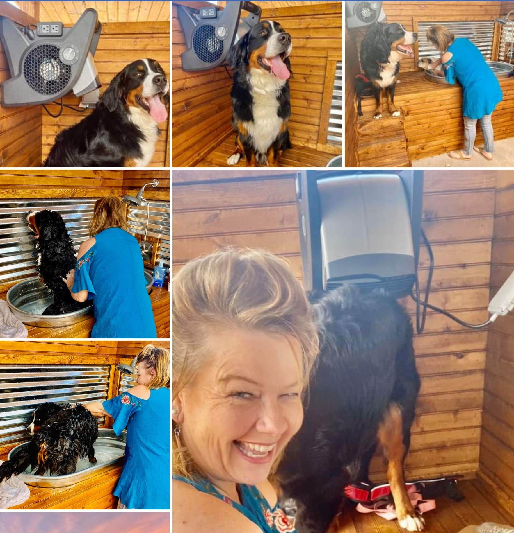 Michele C.'s photo of camping with pets at Lakeland RV Ranch, llc near Dallas, TX