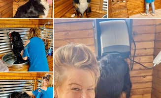 Michele C.'s photo of camping with pets at Lakeland RV Ranch, llc near Dallas, TX