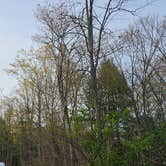 Review photo of Lackawanna State Park Campground by Robert B., April 27, 2023