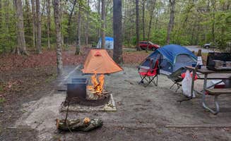 Mike L.'s photo at Martinak State Park Campground near Harrington, DE