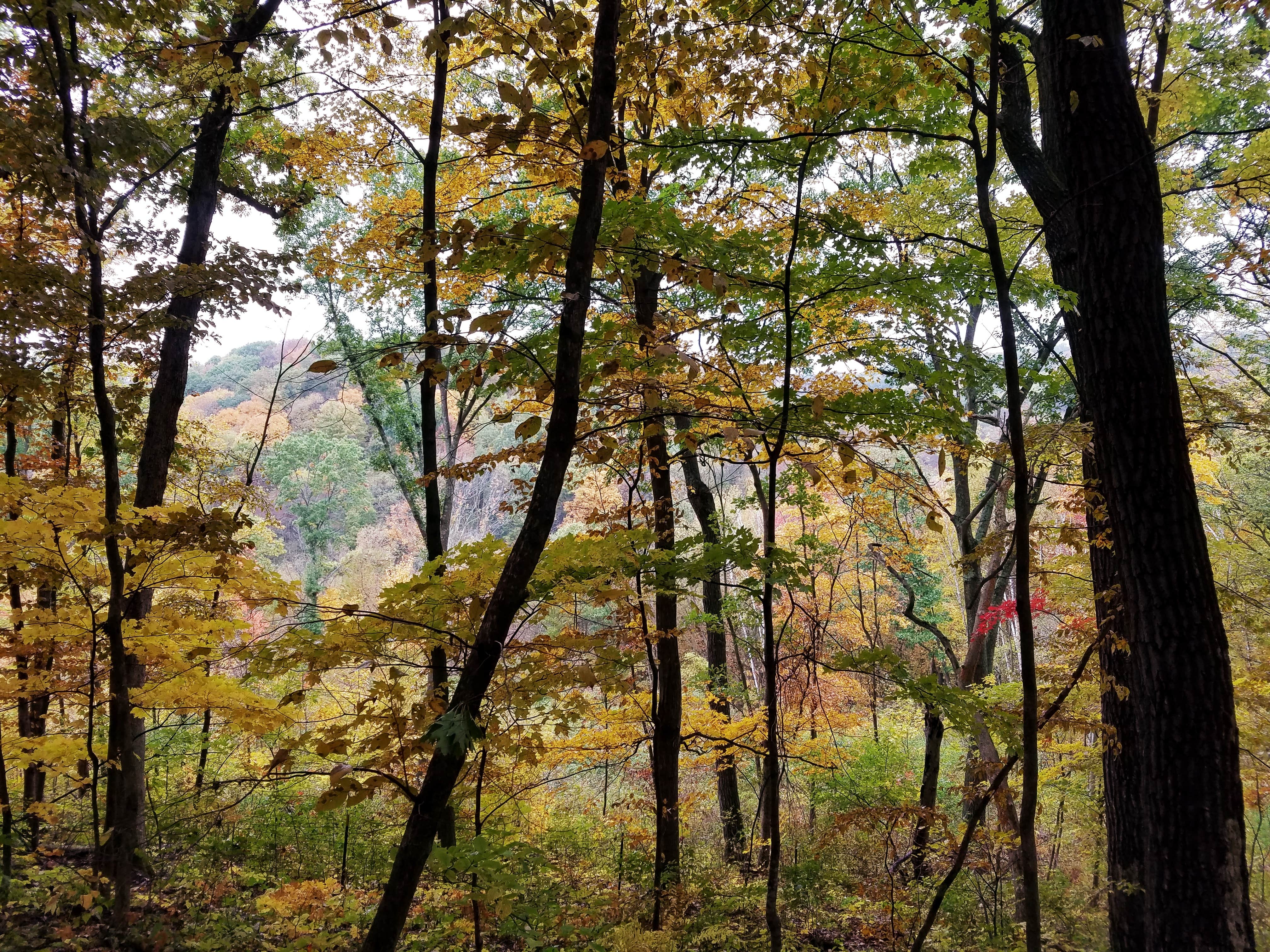 Camper submitted image from White Mound County Campground - 3