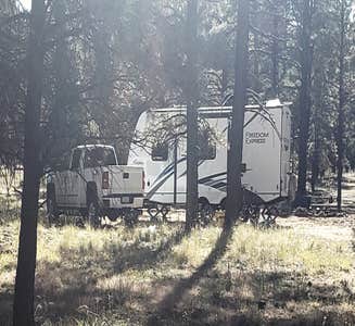 Camper-submitted photo from Dogtown Lake Road Dispersed Camping