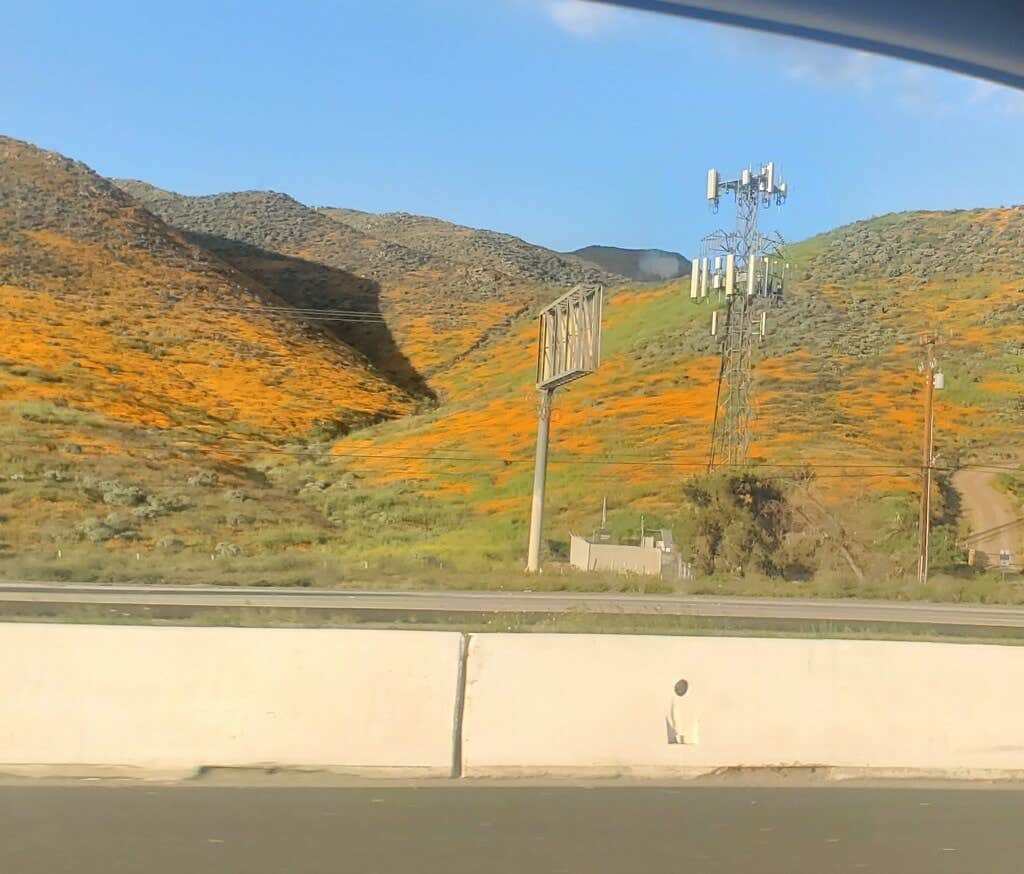 Camper-submitted photo at Glen Ivy RV Park near Lake Elsinore, CA