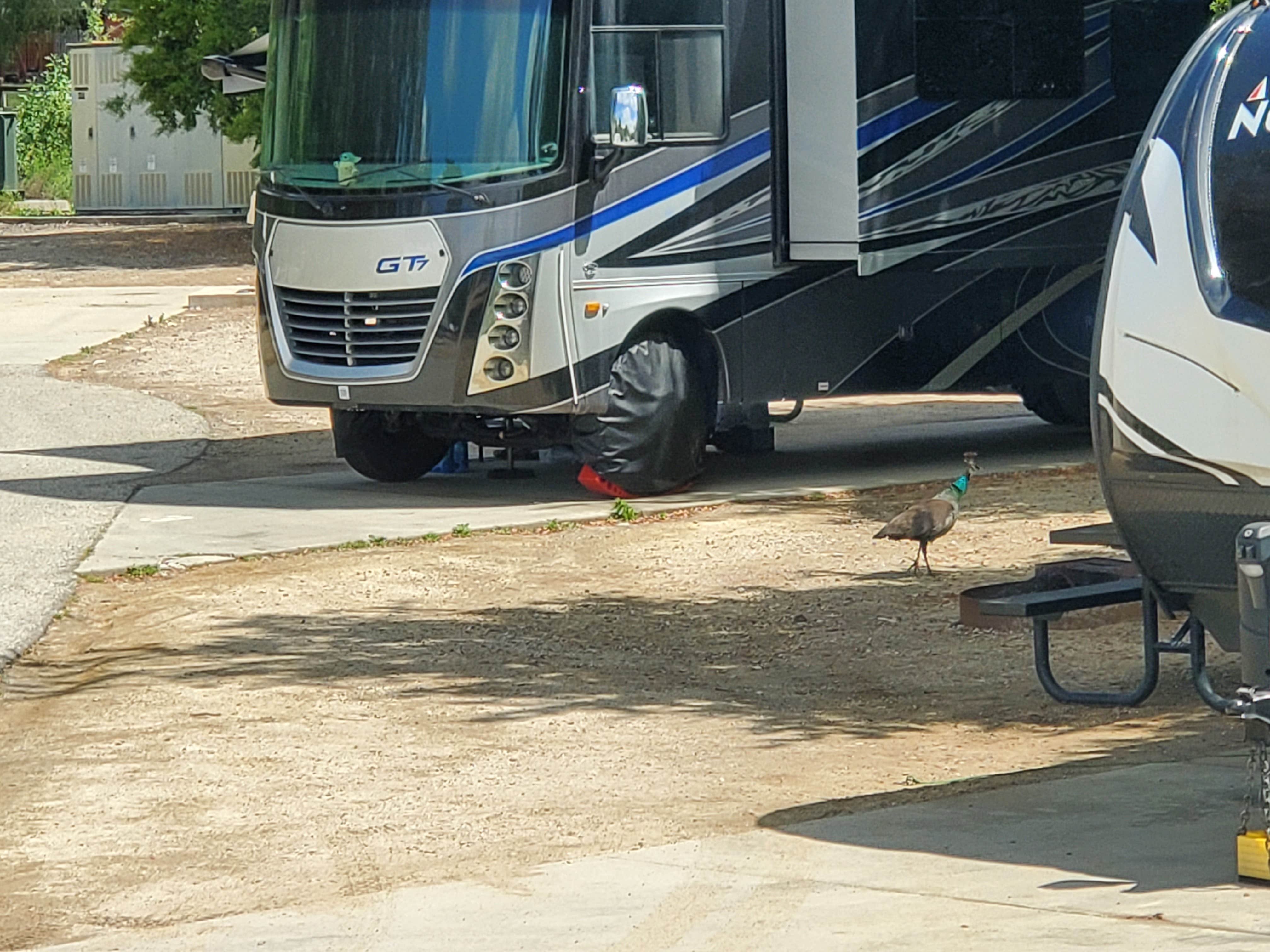 April Y.'s photo of rv camping at Tapo Canyon Park near San Fernando, CA