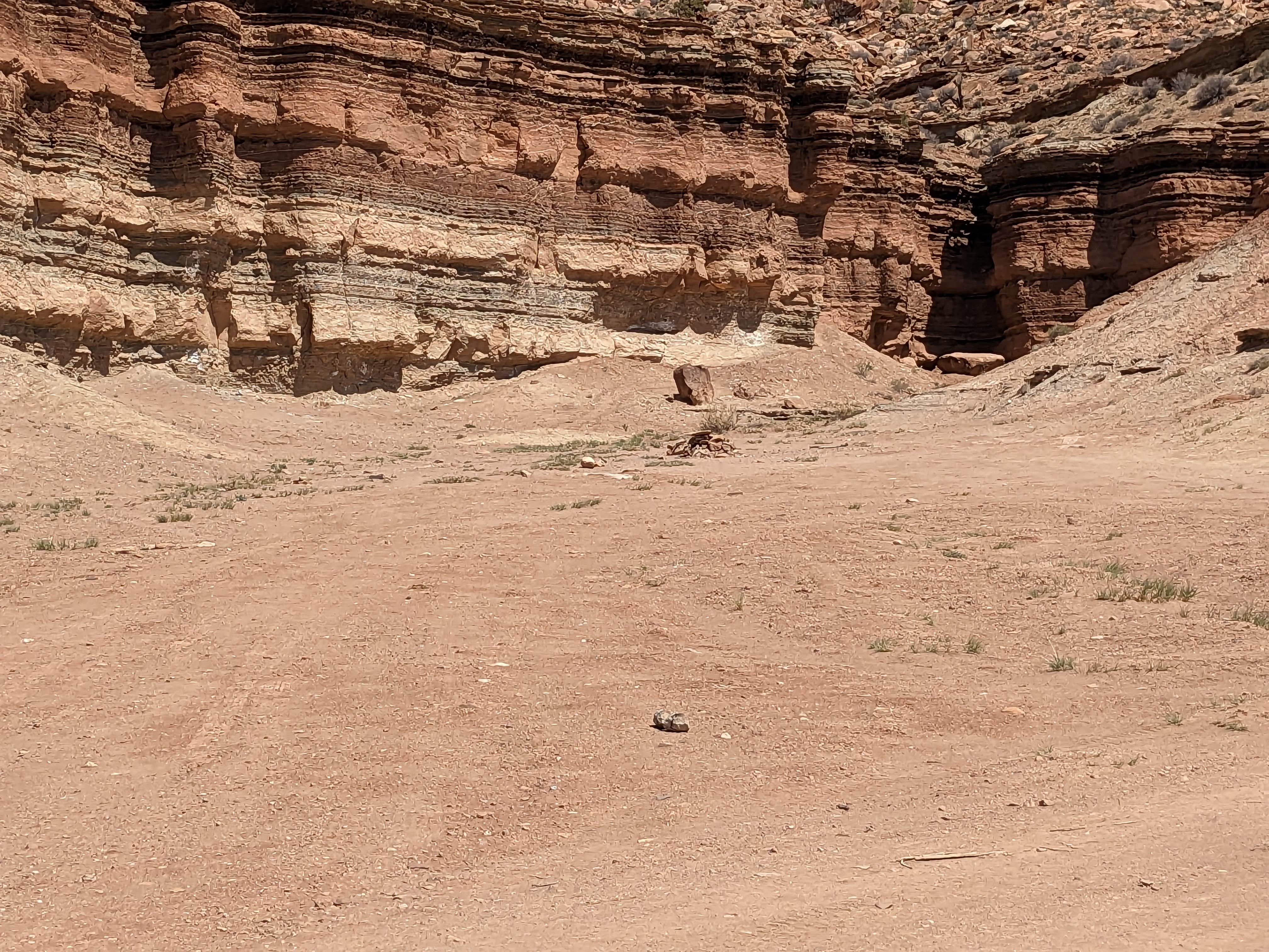 Camper submitted image from BLM Mexican Mt Road Dispersed Camping - 2