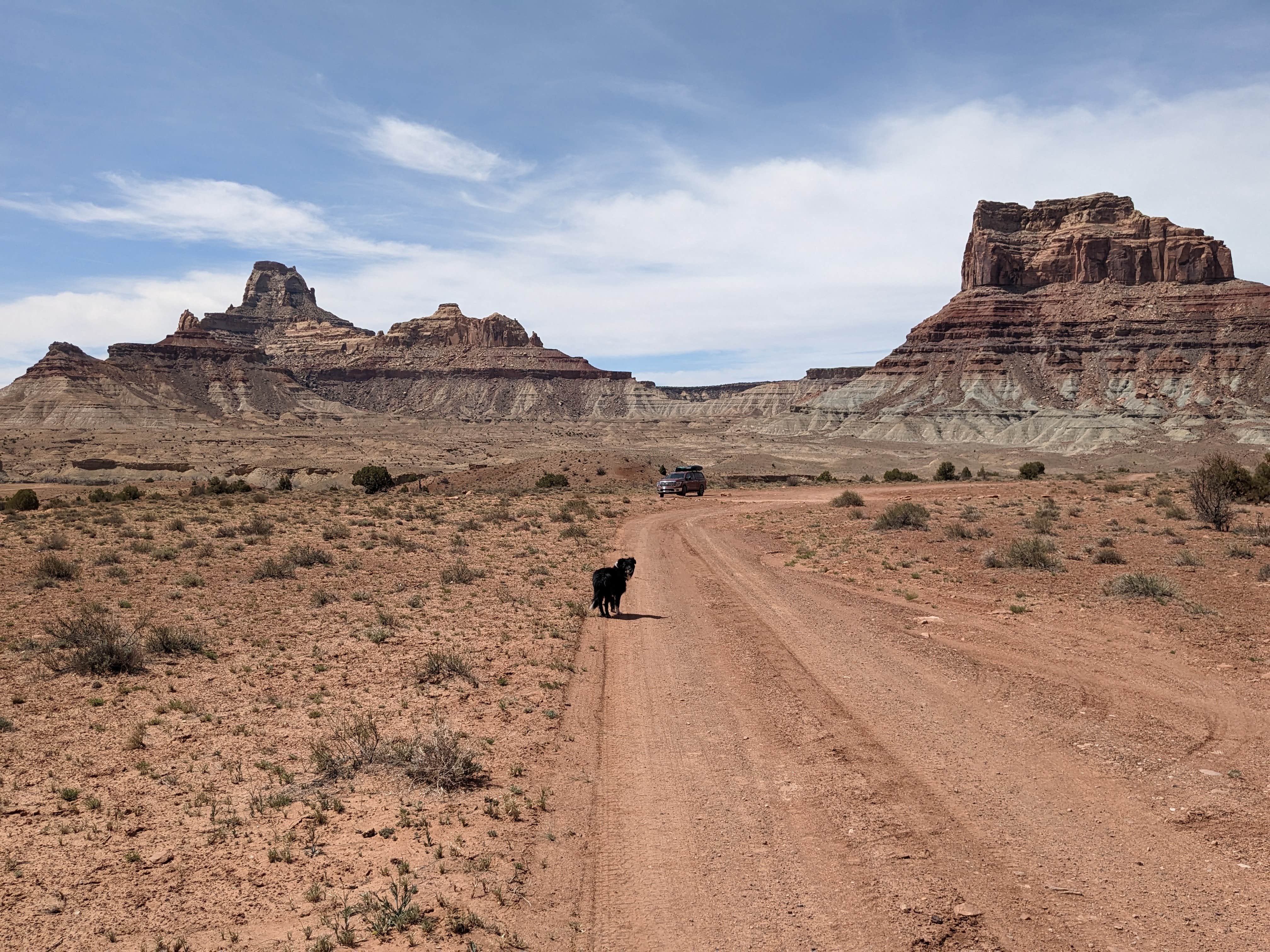 Greg L.'s photo of camping with pets at BLM Mexican Mt Road Dispersed Camping near Wellington, UT