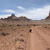 Review photo of BLM Mexican Mt Road Dispersed Camping by Greg L., April 28, 2023