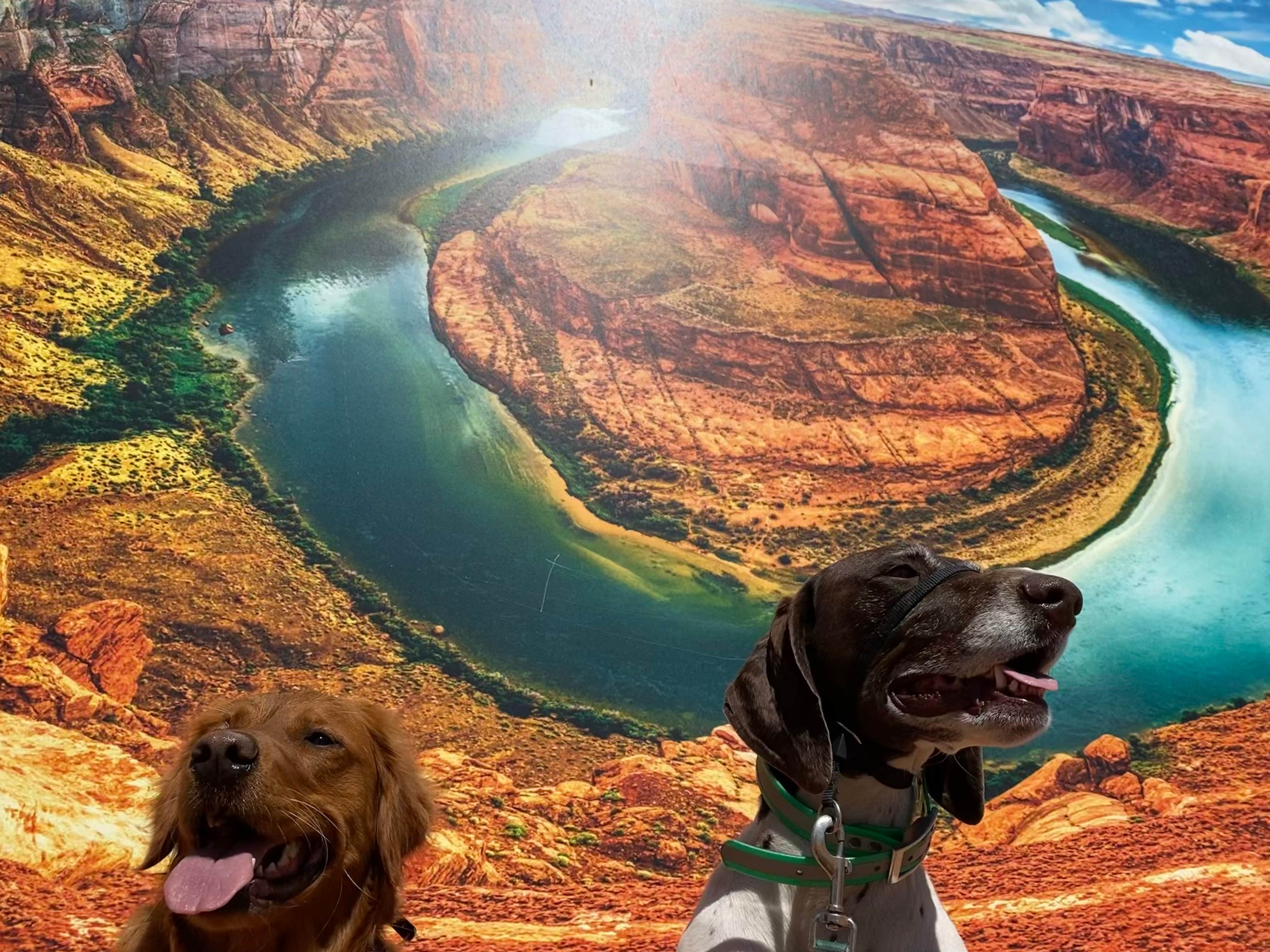 mary F.'s photo of camping with pets at Lees Ferry Campground — Glen Canyon National Recreation Area near Page, AZ