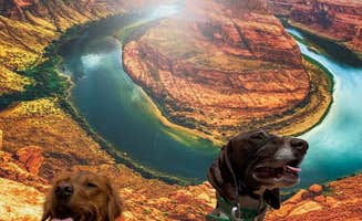 mary F.'s photo of camping with pets at Lees Ferry Campground — Glen Canyon National Recreation Area near Lake Powell, UT