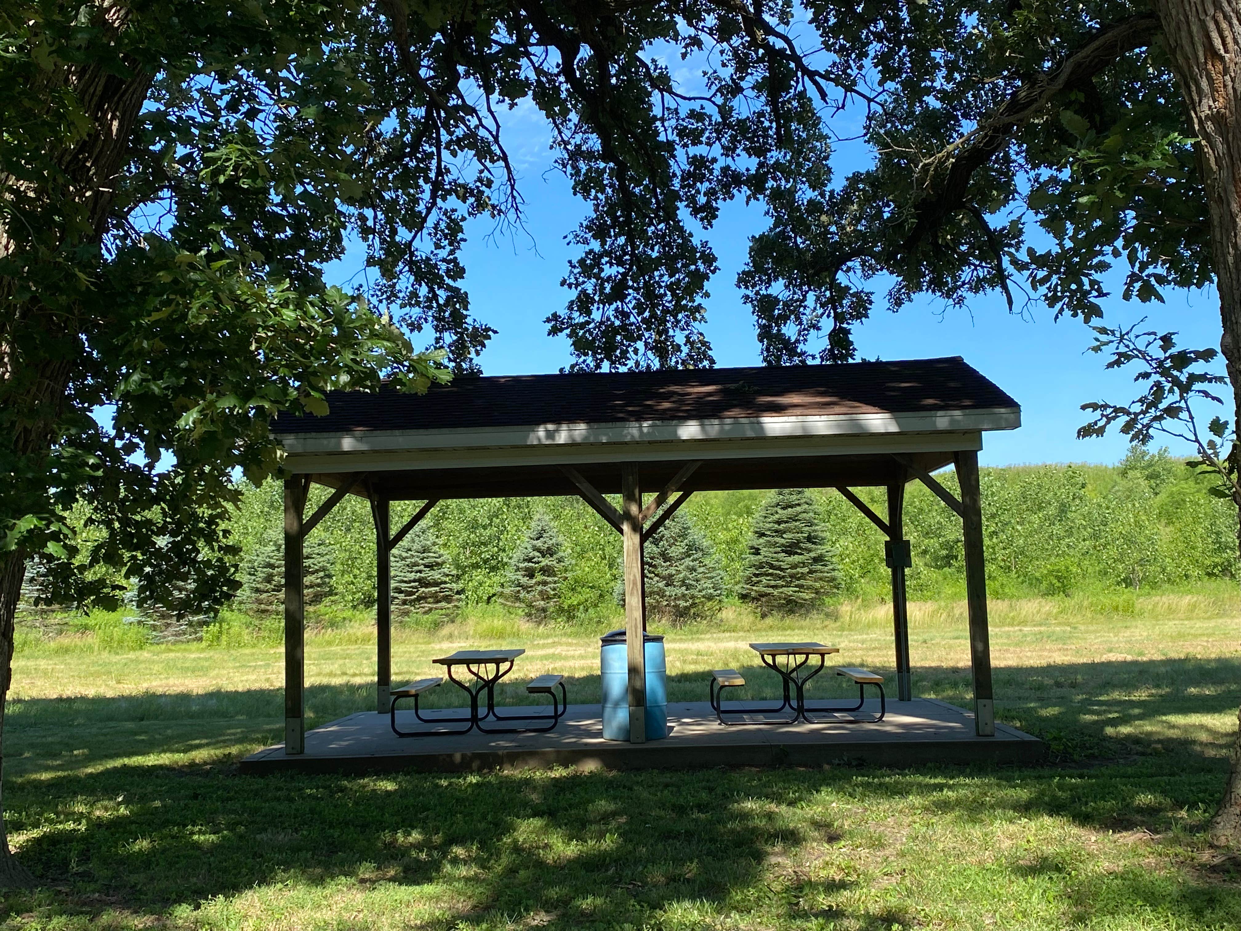 Camper submitted image from Starved Rock Family Campground - 3