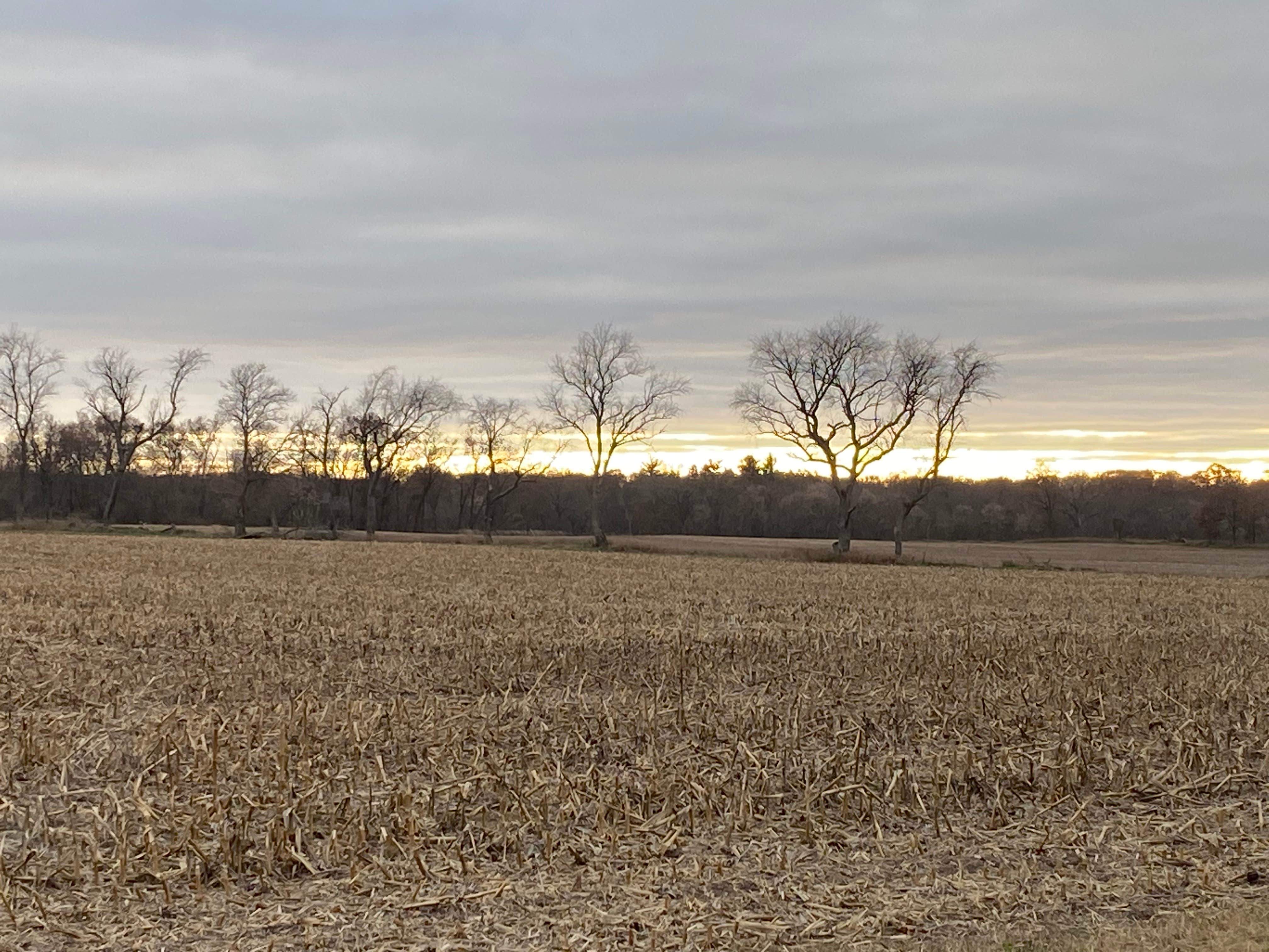 Camping near Leisure Lake Campground: Green River Oaks Camping Resort, Nachusa, Illinois