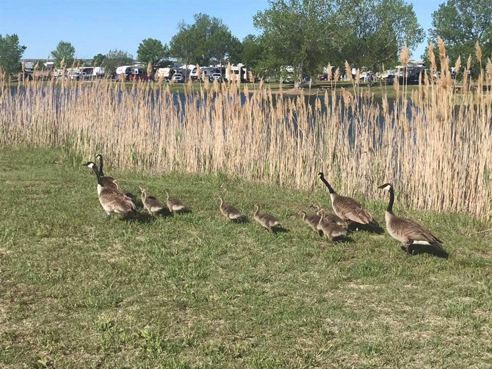 I-80 Lakeside Campground